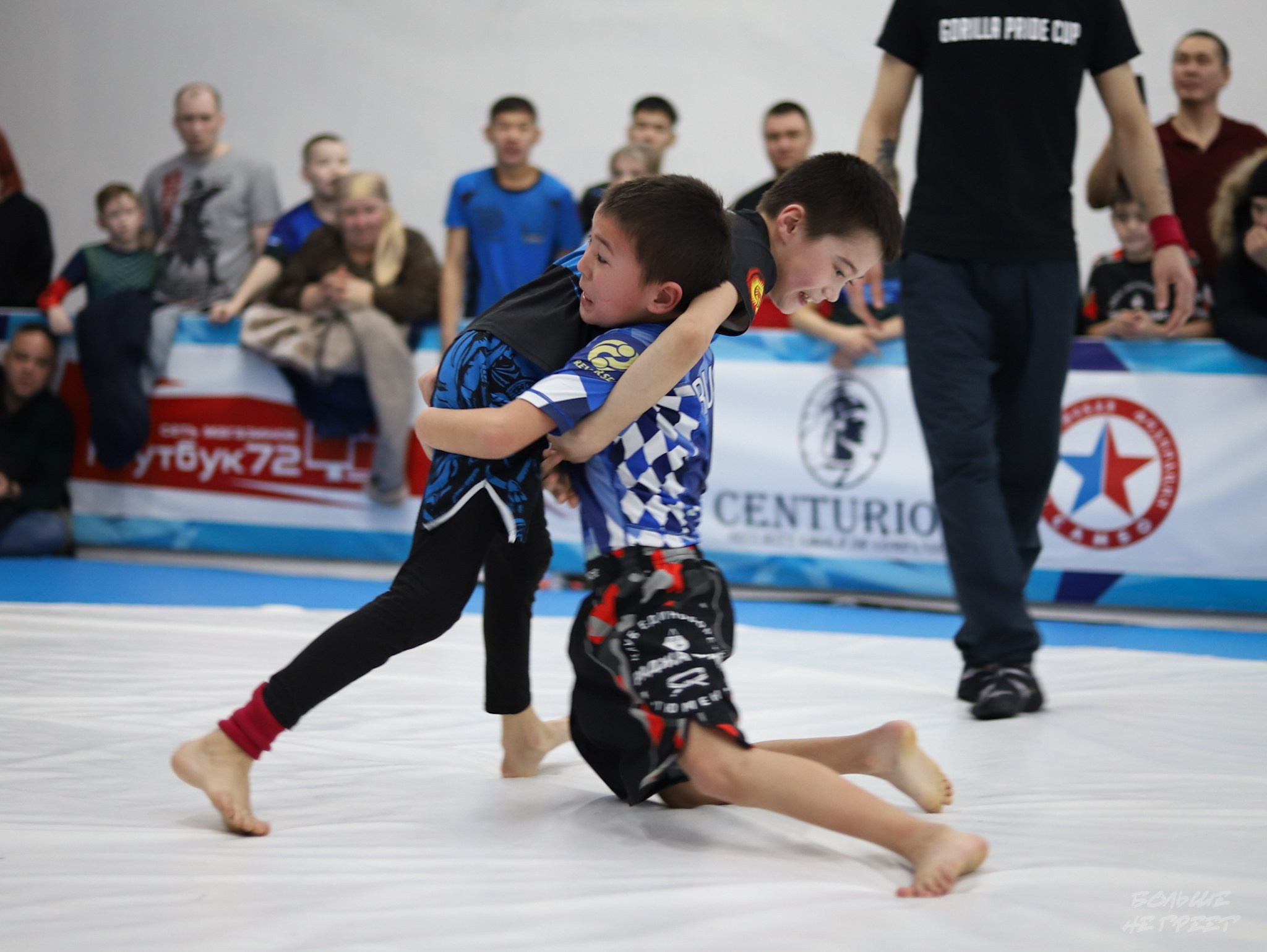 GORILLA PRIDE CUP. Больше не греет