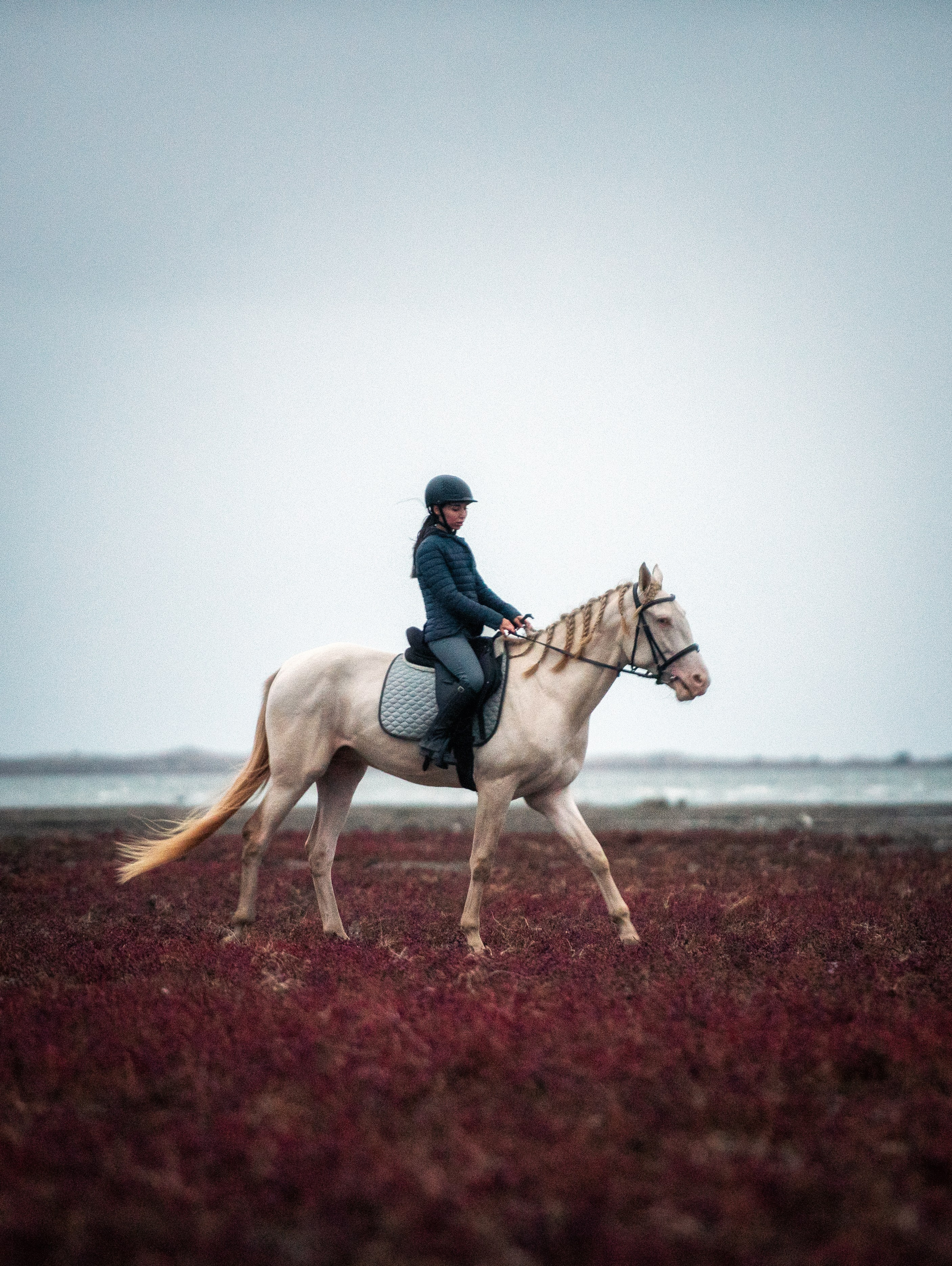 Индивидуальные. Фотограф с лошадьми в Калининграде Татьяна Ларина