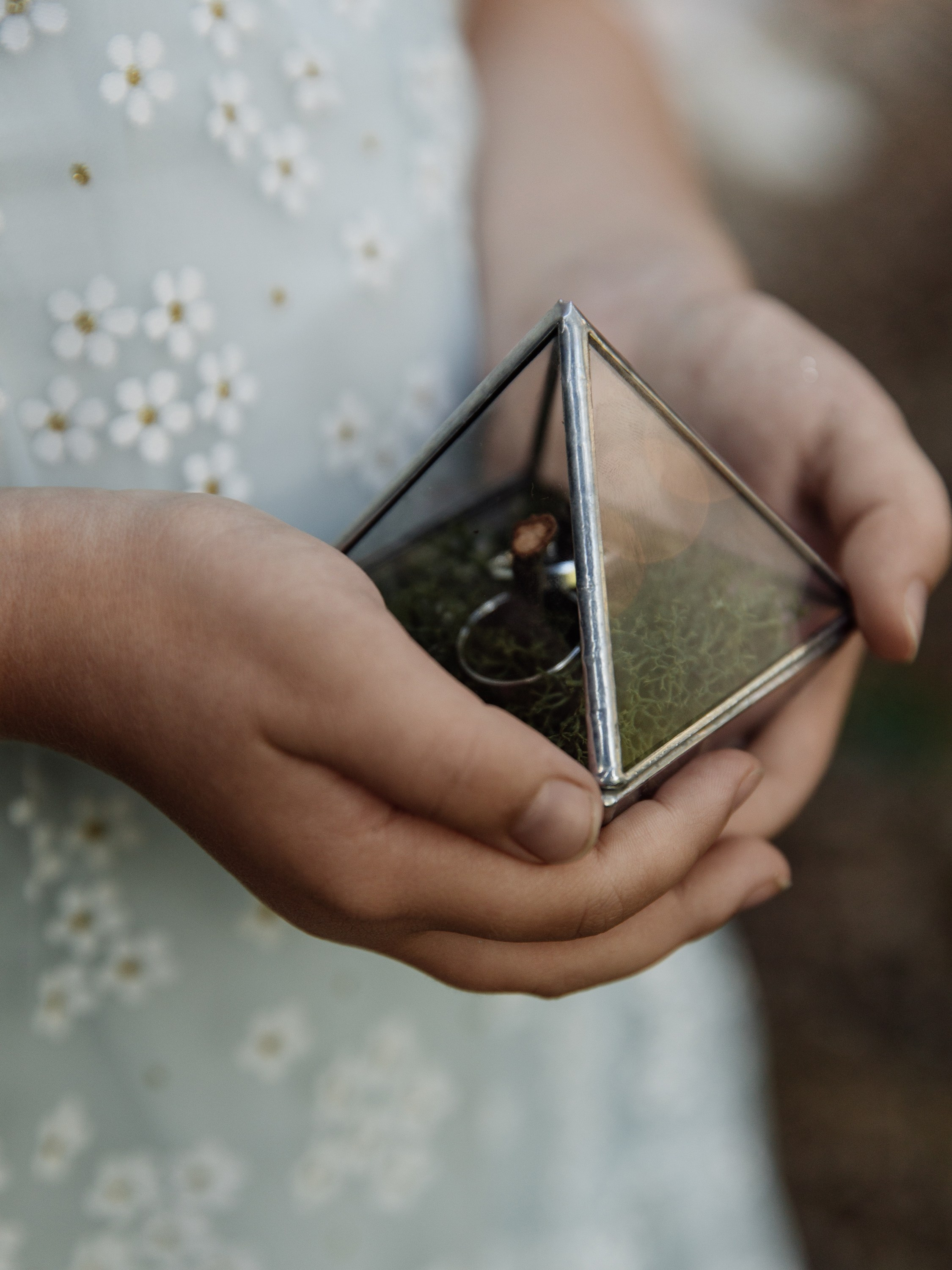 Елки-парк. Свадебный фотограф Дмитрий Воробьев Ярославль