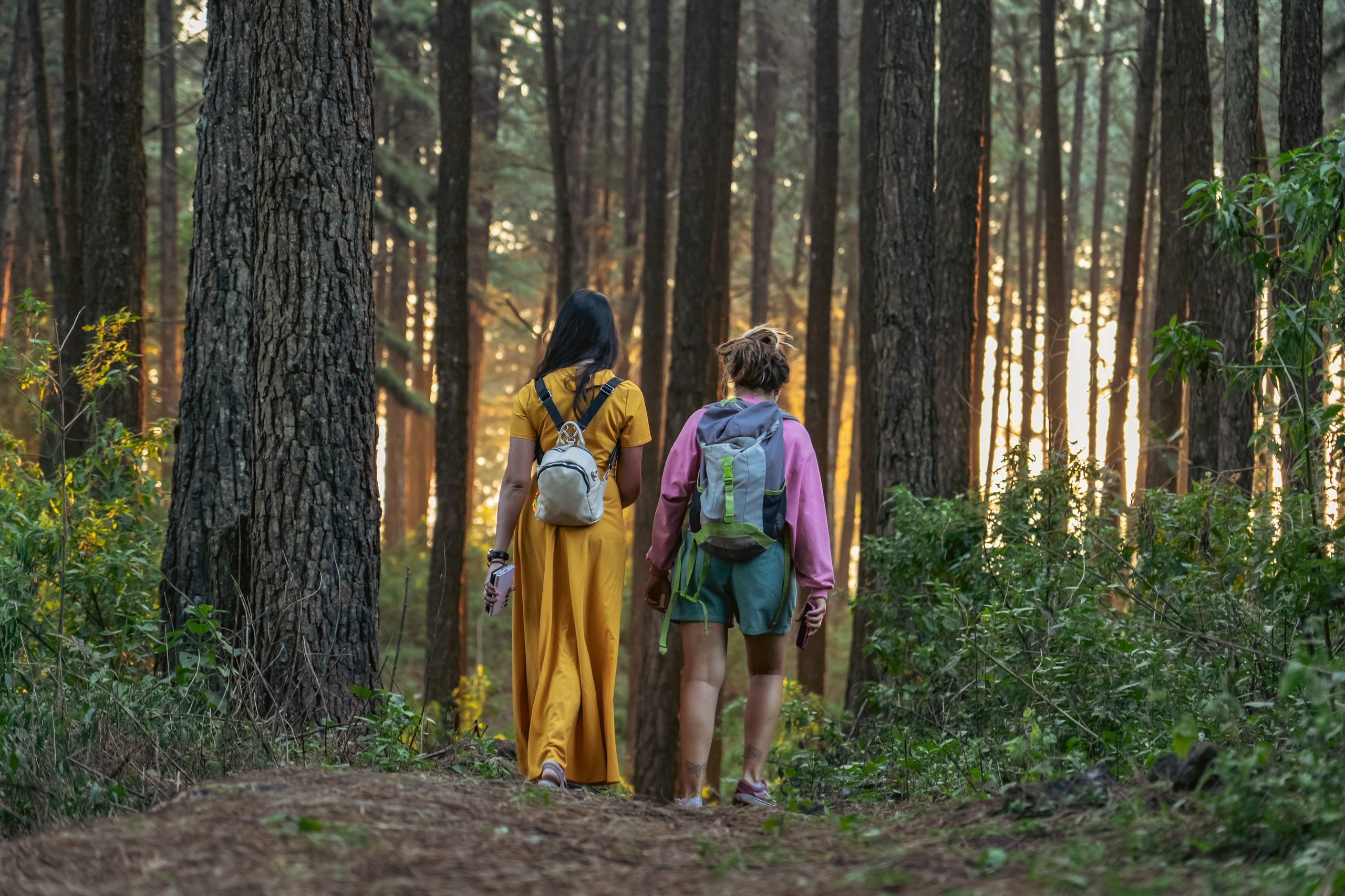 Promo content shooting for Ceylon Forward Tours