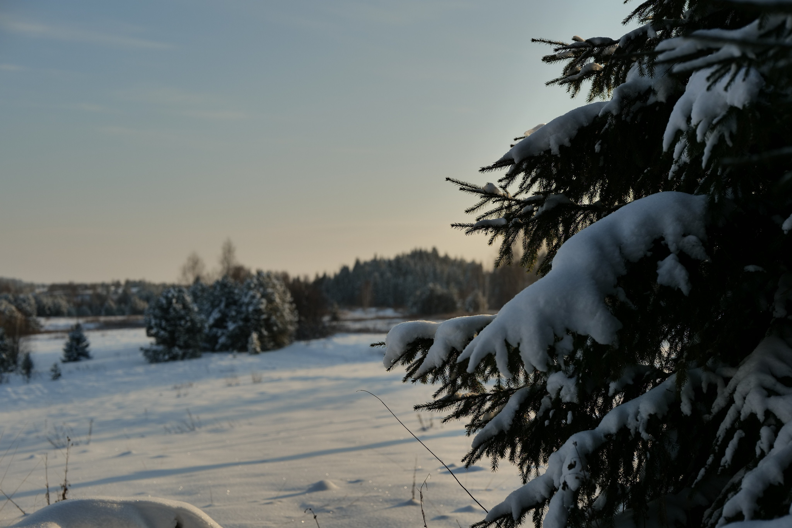 Верхотурье. Владимир Власюк