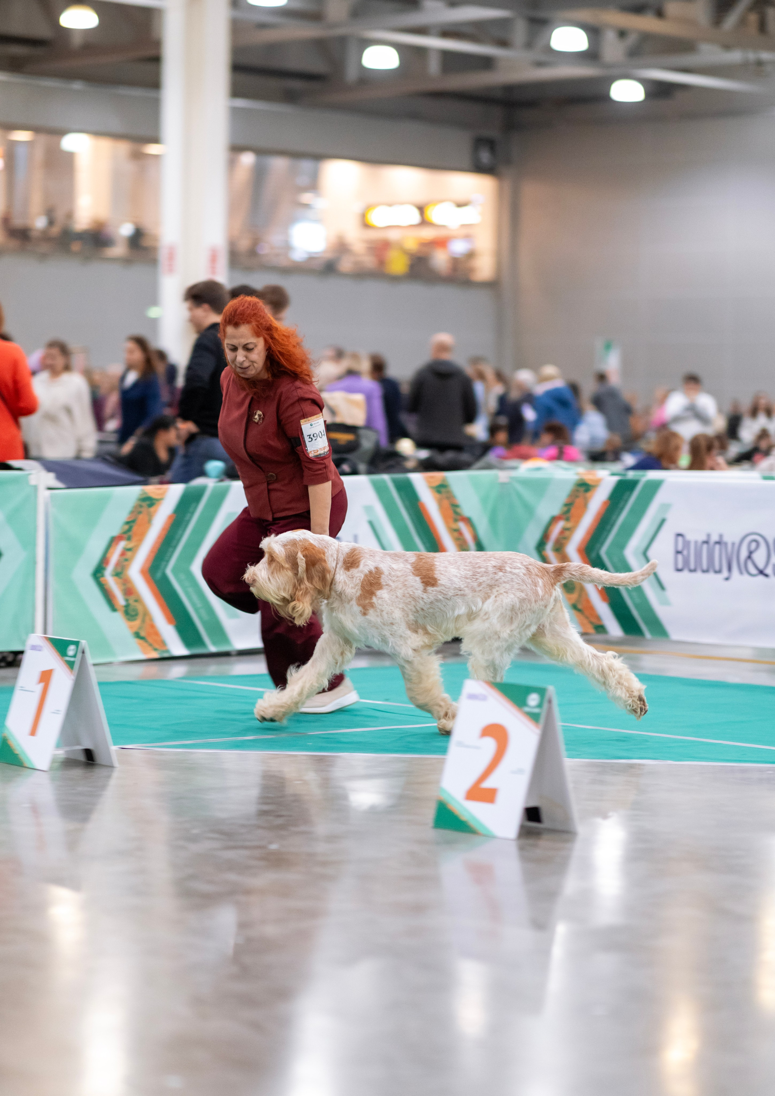 Евразия. Фотограф — анималист Татьяна Ли