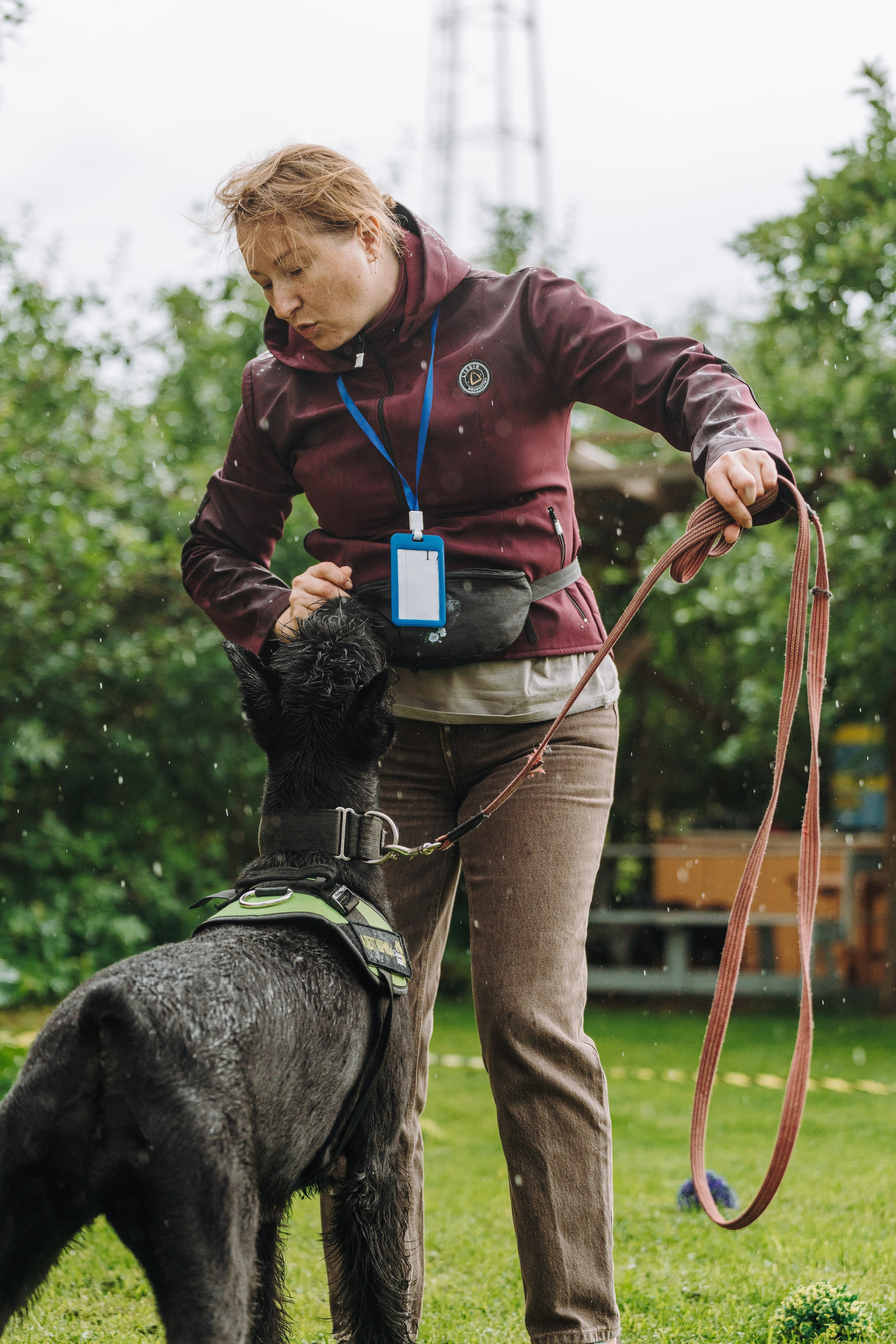 Соревнования по ноузворку в Новожилово. Фотограф анималист в Спб недорого Олеся Майорова
