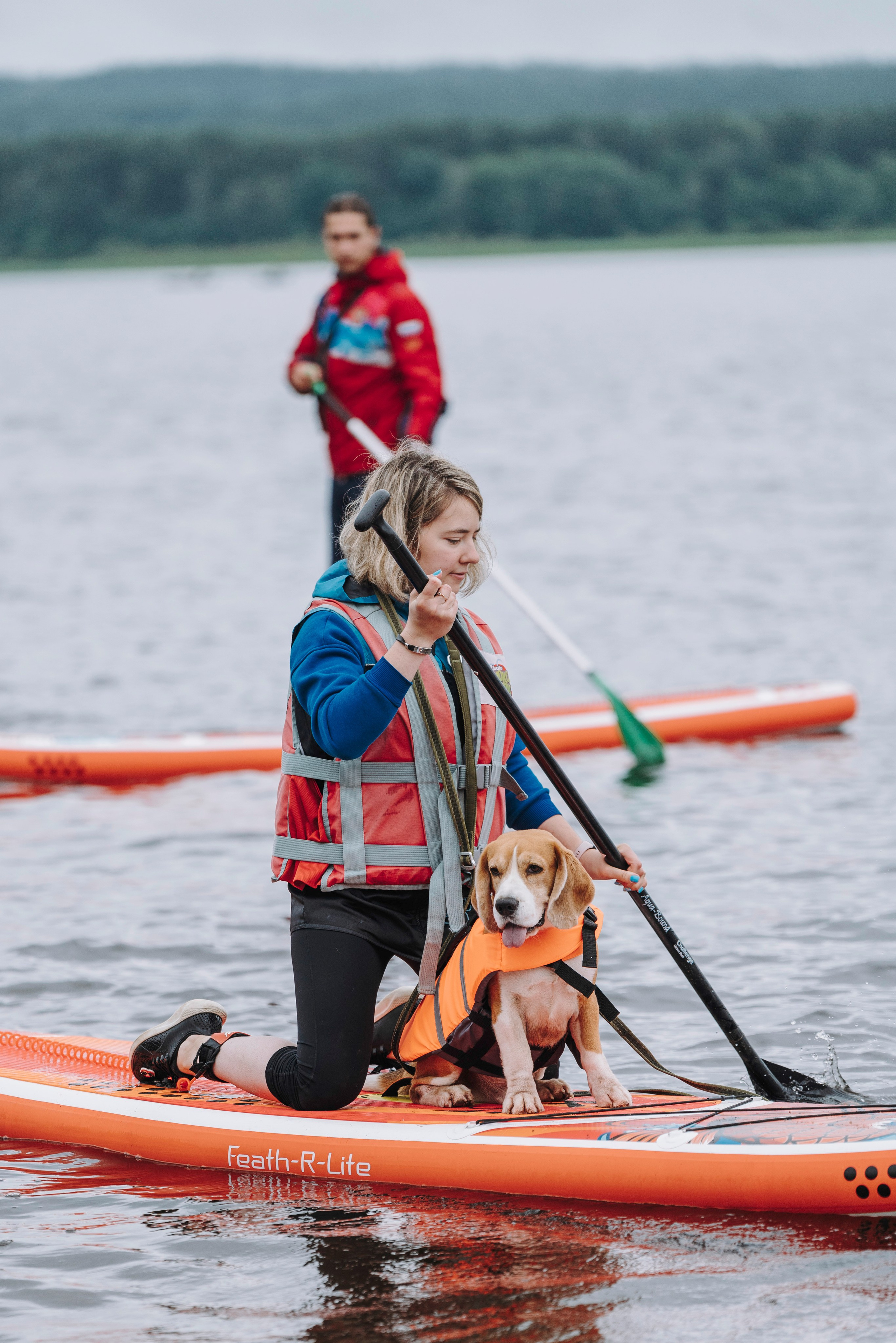 Катание на сапах с собаками. Фотограф анималист в Спб недорого Олеся Майорова