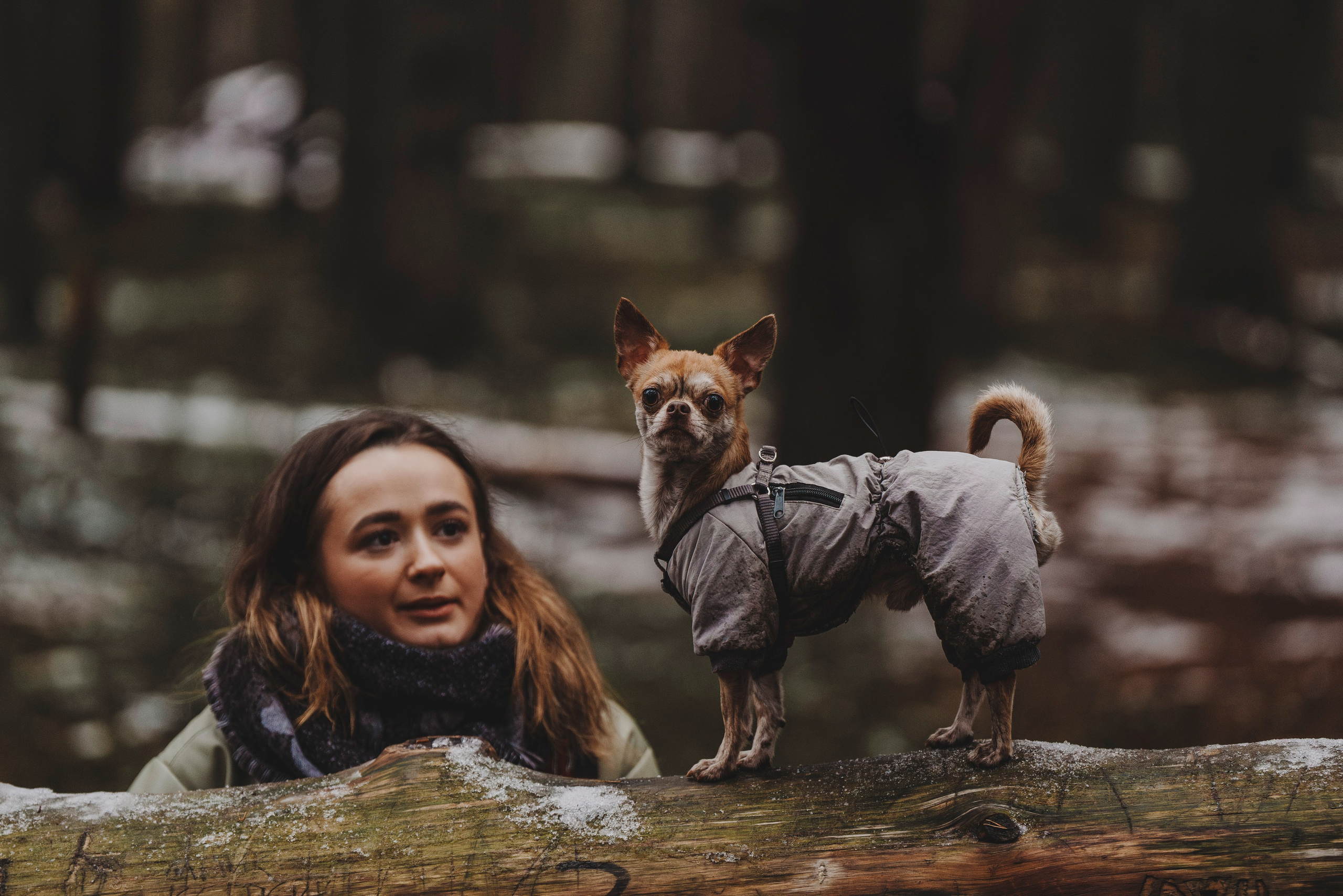 Наталия и Боря. Фотограф анималист в Спб недорого Олеся Майорова