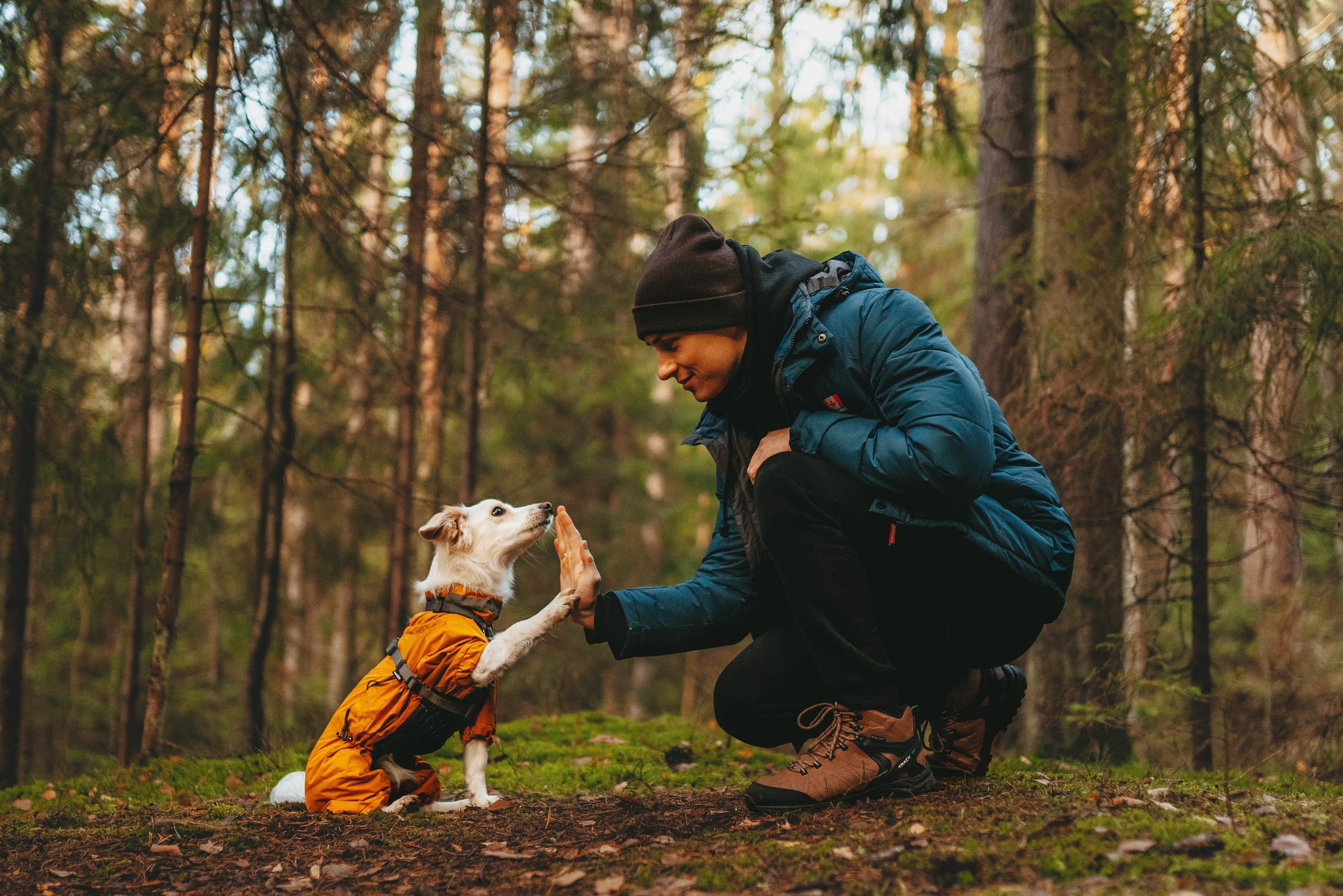 Бруно, Алена и Антон. Фотограф анималист в Спб недорого Олеся Майорова