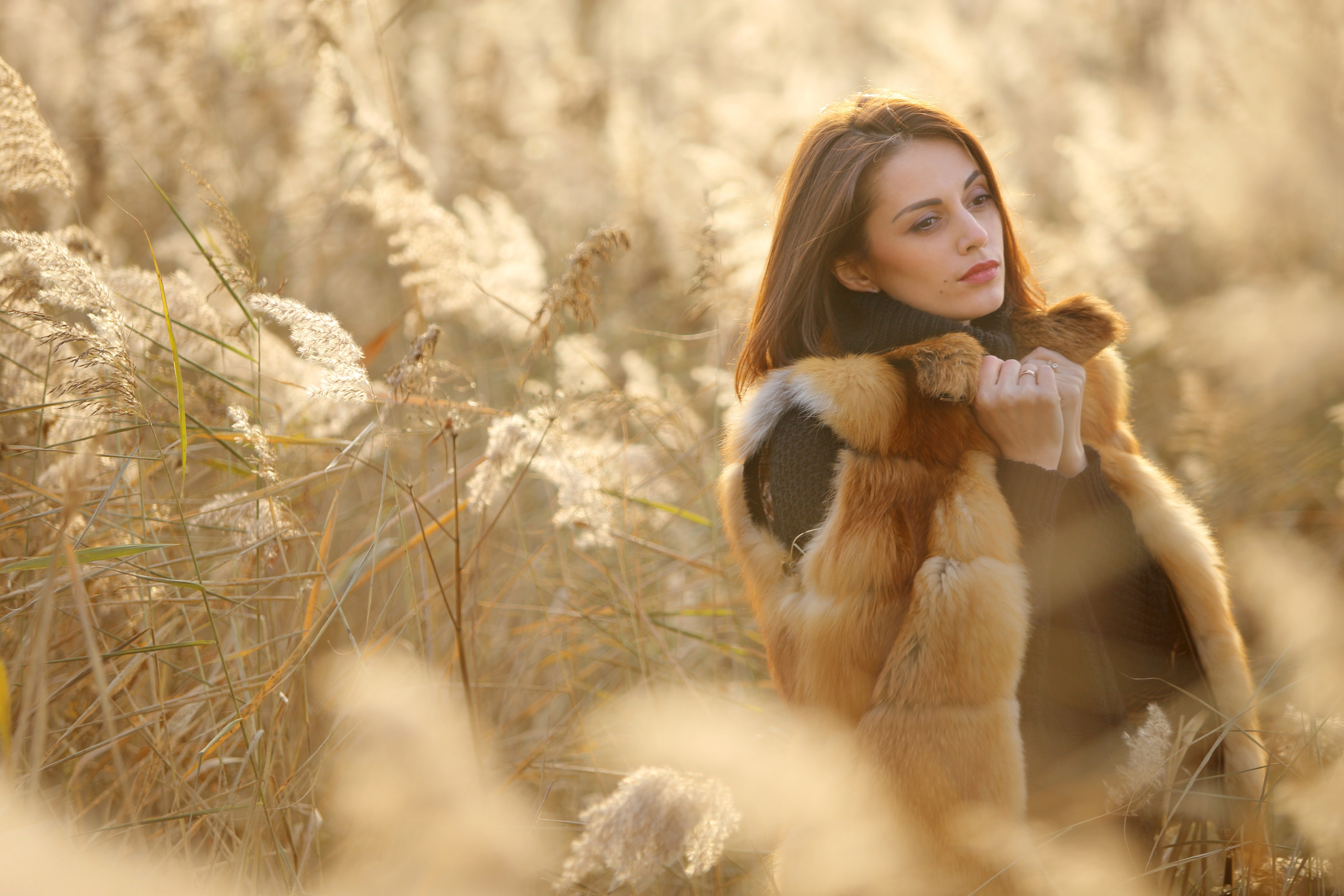 Прогулка. Фотограф Лагутин Анатолий