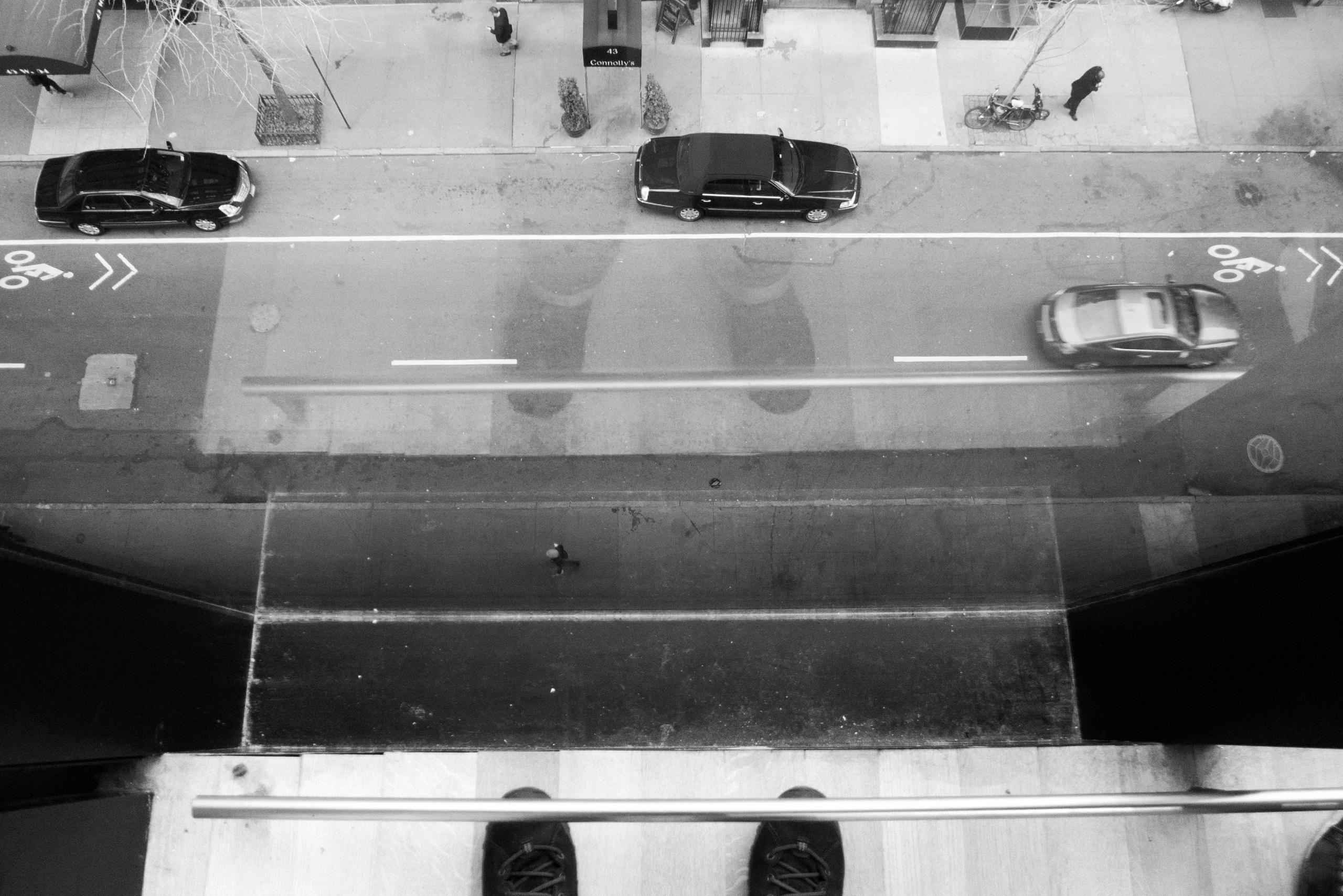 Жанр. Фотограф Лагутин Анатолий