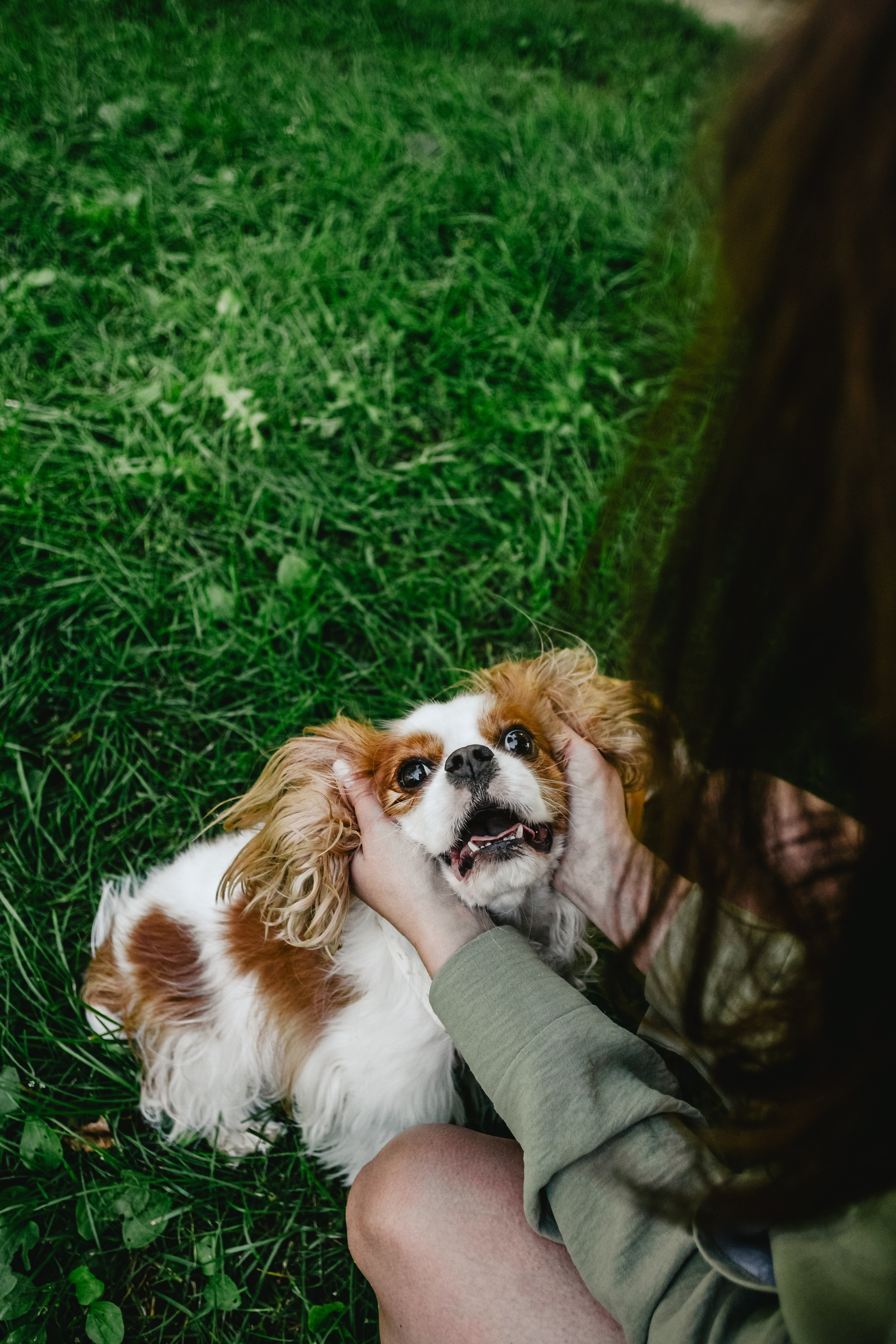 Фотопрогулка на бульваре. Фотограф-анималист Татьяна Степанова