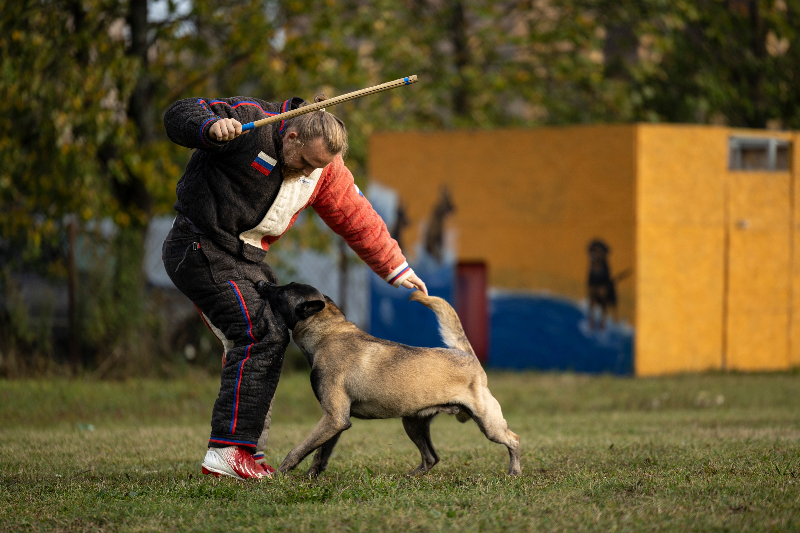Испытания по Мондьорингу г. Пушкин. Фотограф-анималист Анна Маринич