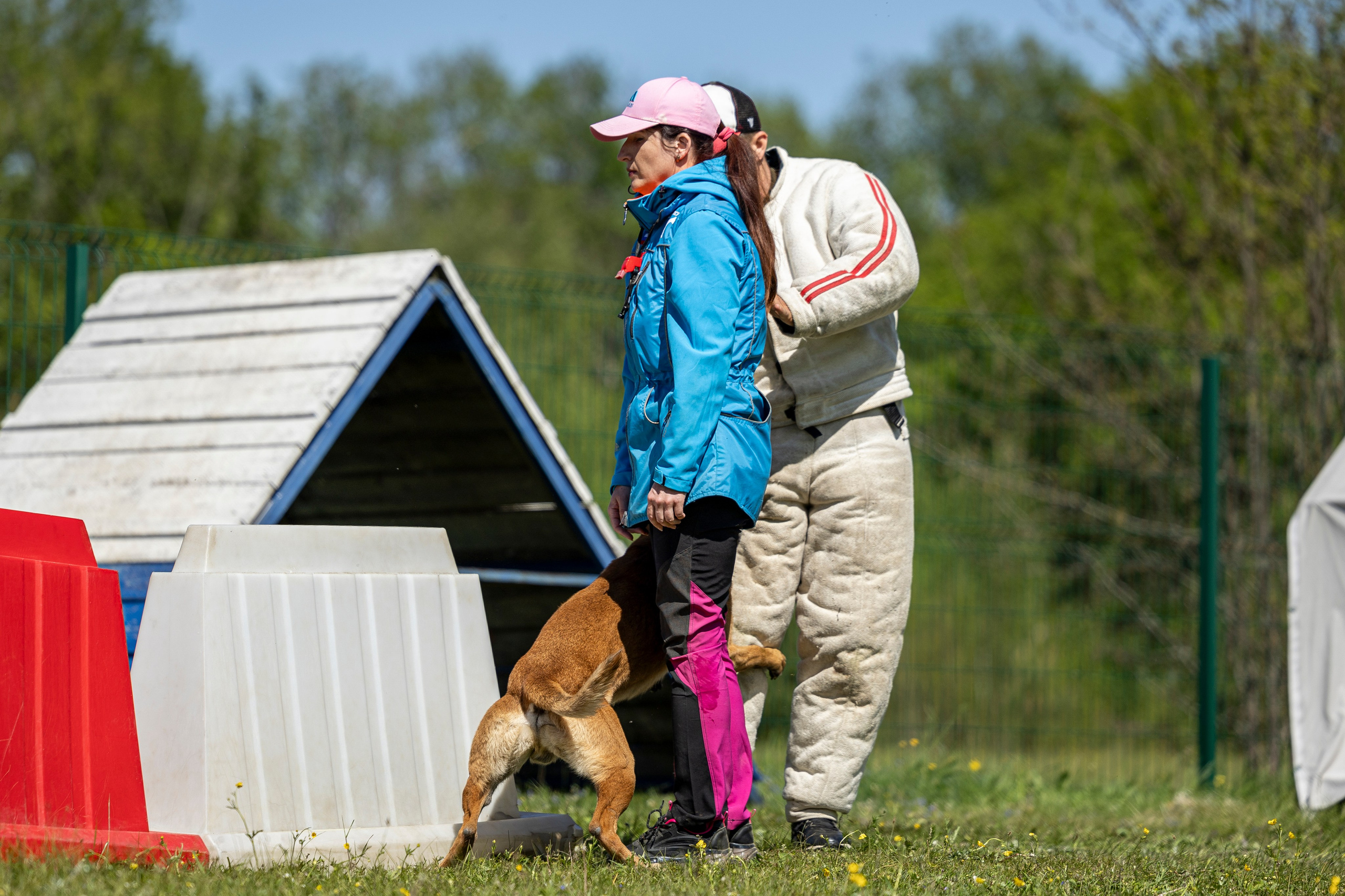 Испытания по мондьорингу в Нижнем Новгороде. Фотограф-анималист Анна Маринич