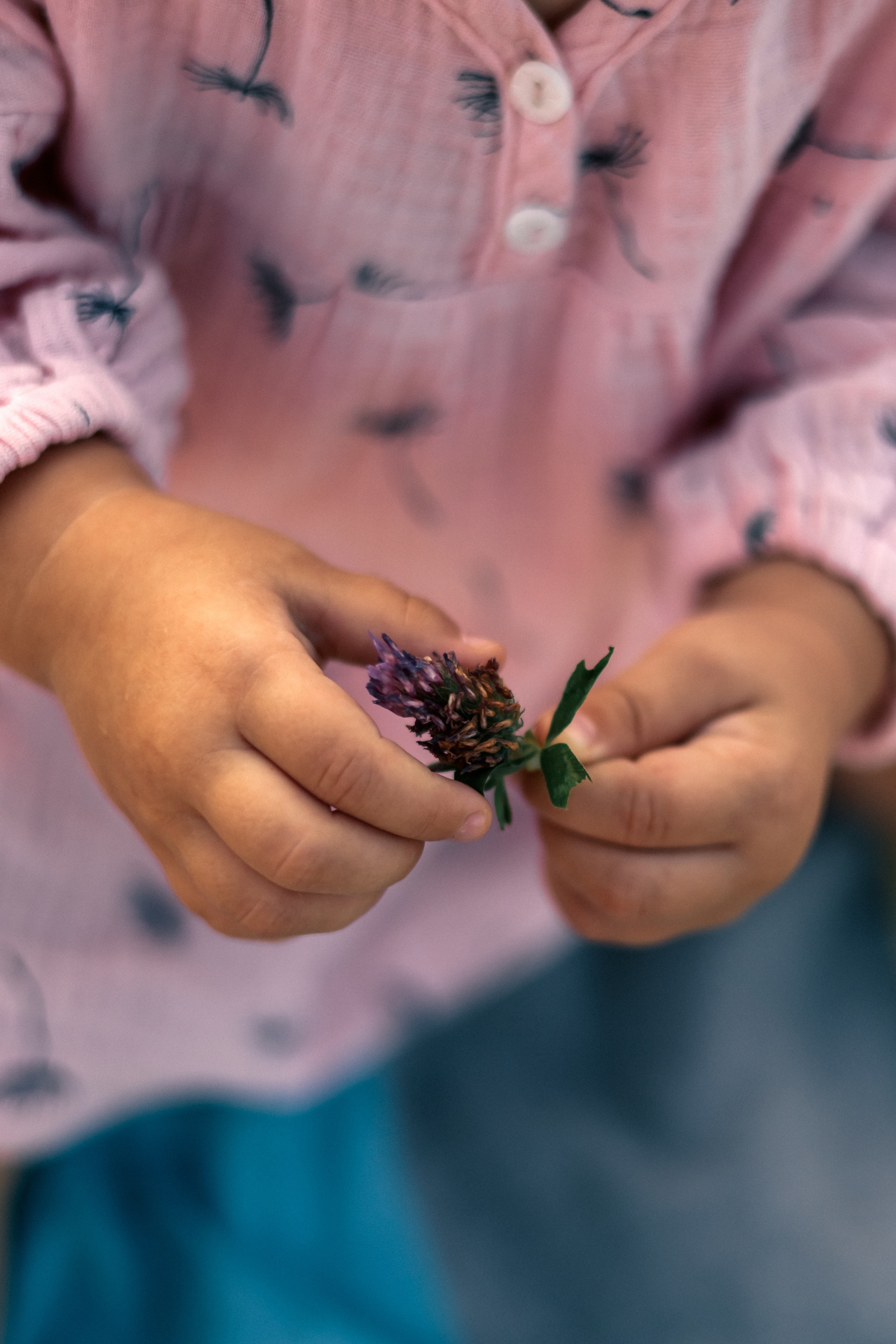 Наше лето. Семейный фотограф Вита Лифанова Брянск LifeStyle