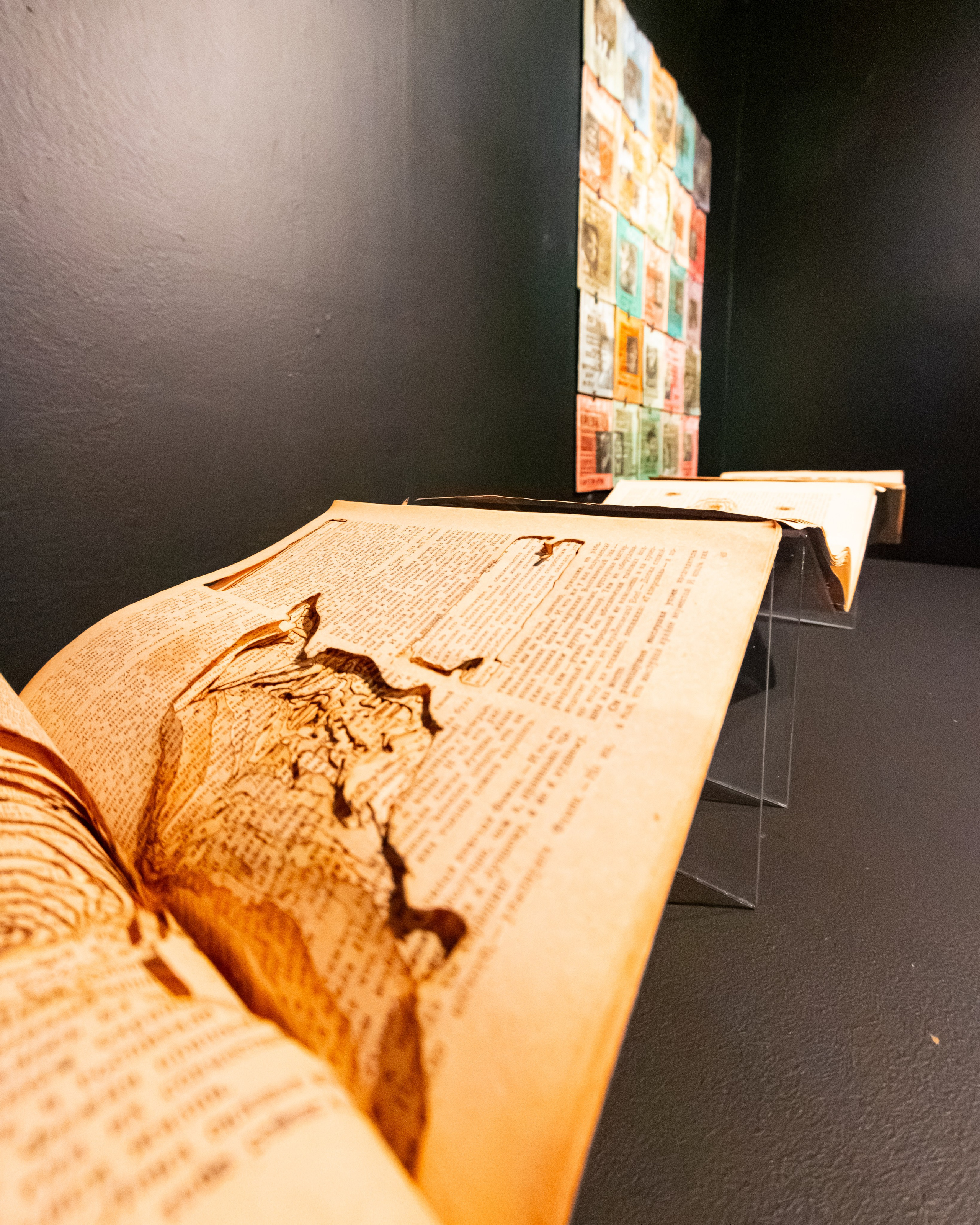 Выставка 15.10.24. Фотограф Илья Варакин