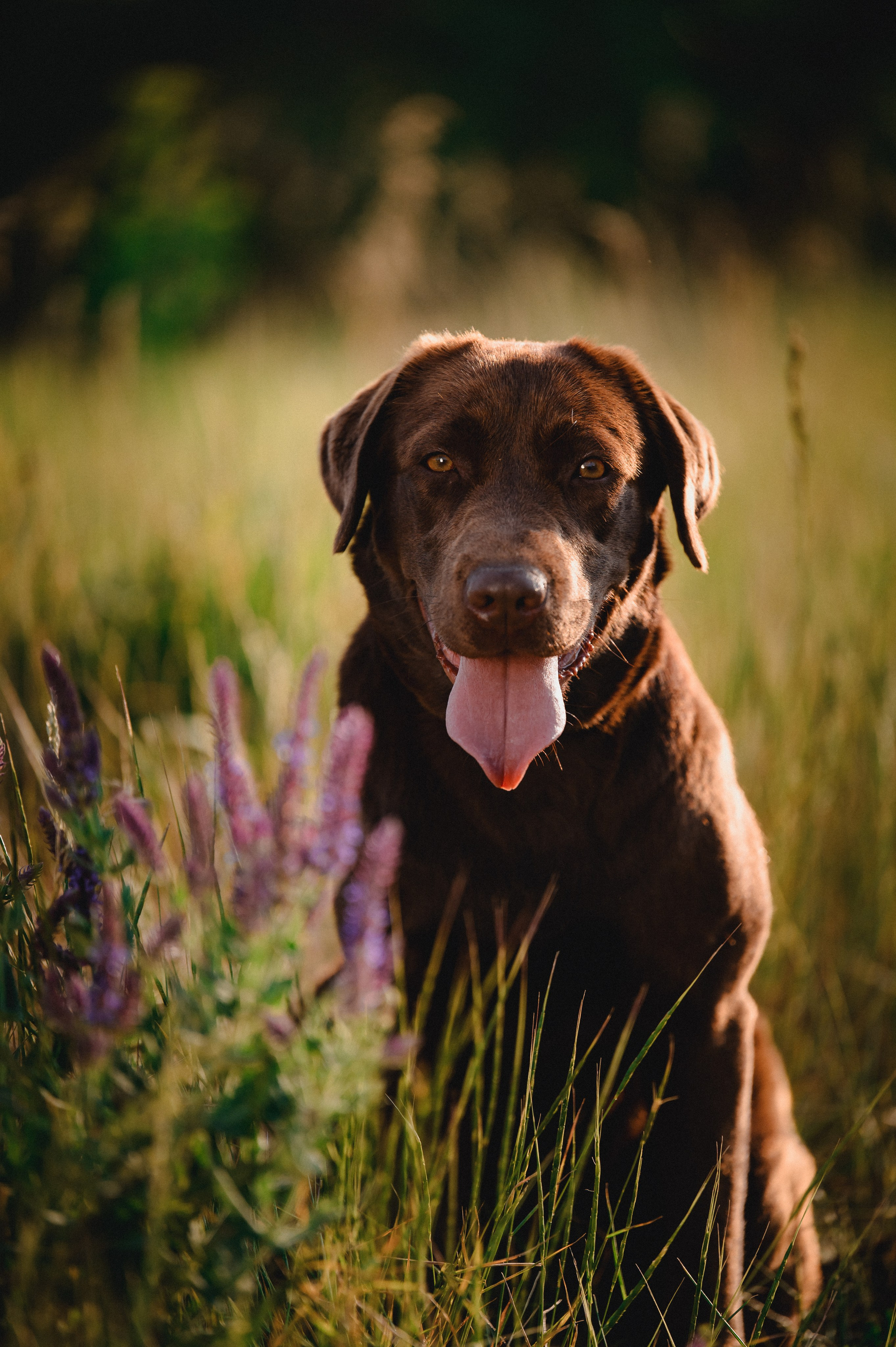 Анечка и Дэя. Фотограф в Ростове —на — Дону