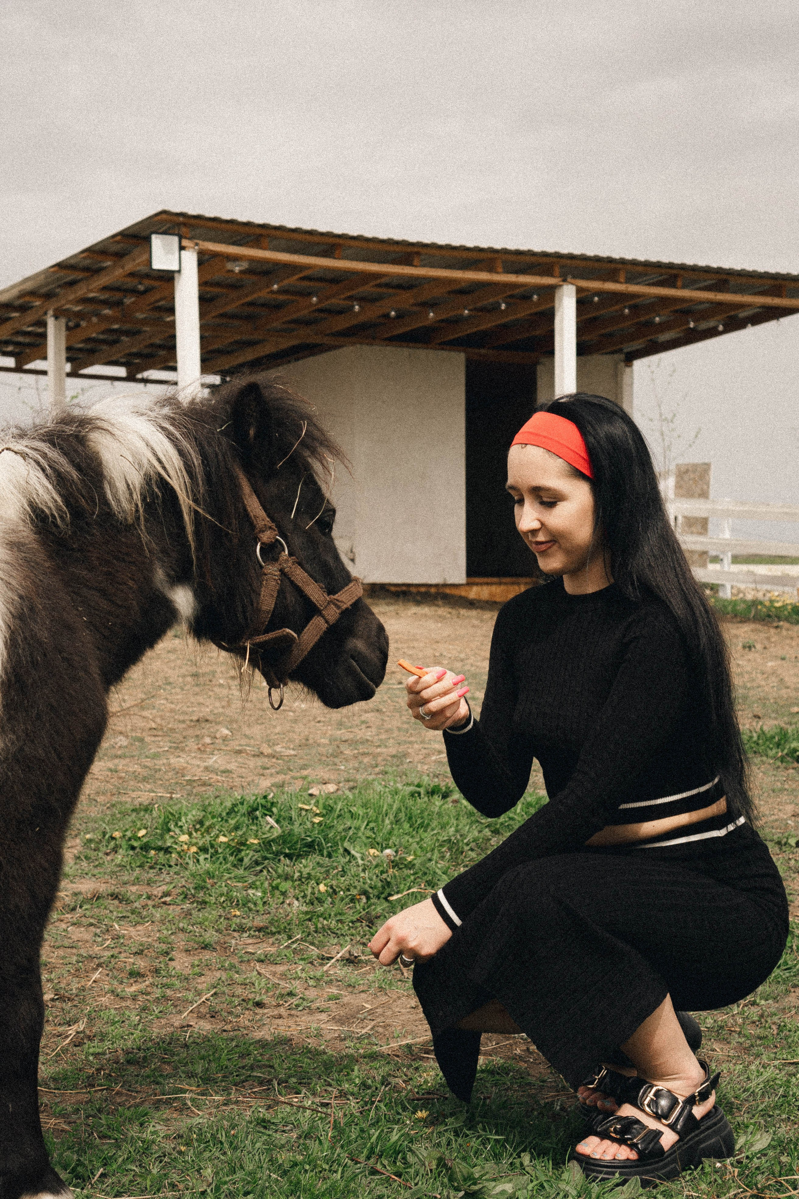 Ферма Альпак. Профессиональный фотограф, Санкт-Петербург — Виктория Богомолова