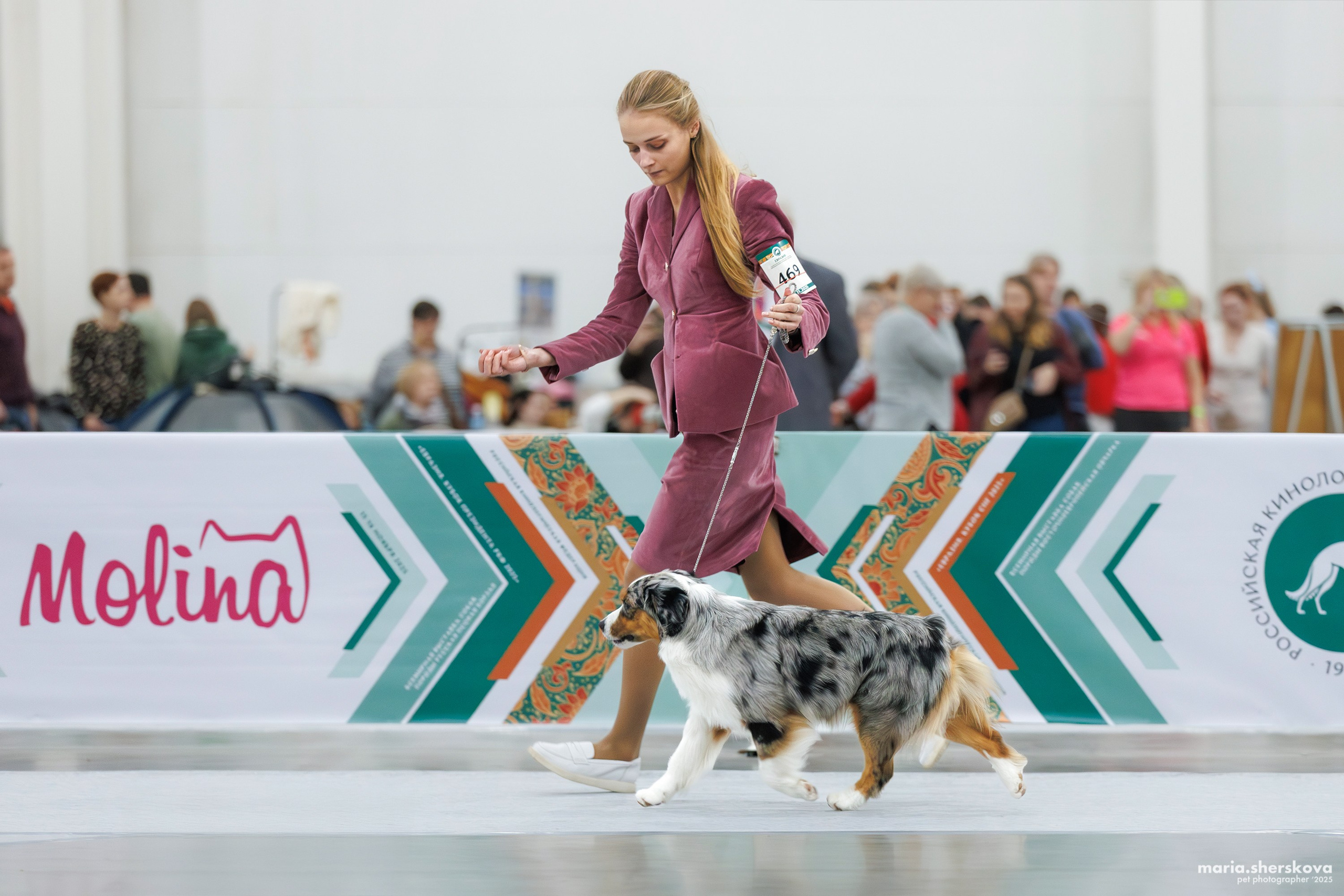 Выставки. Фотограф-анималист в Калуге Мария Шерскова