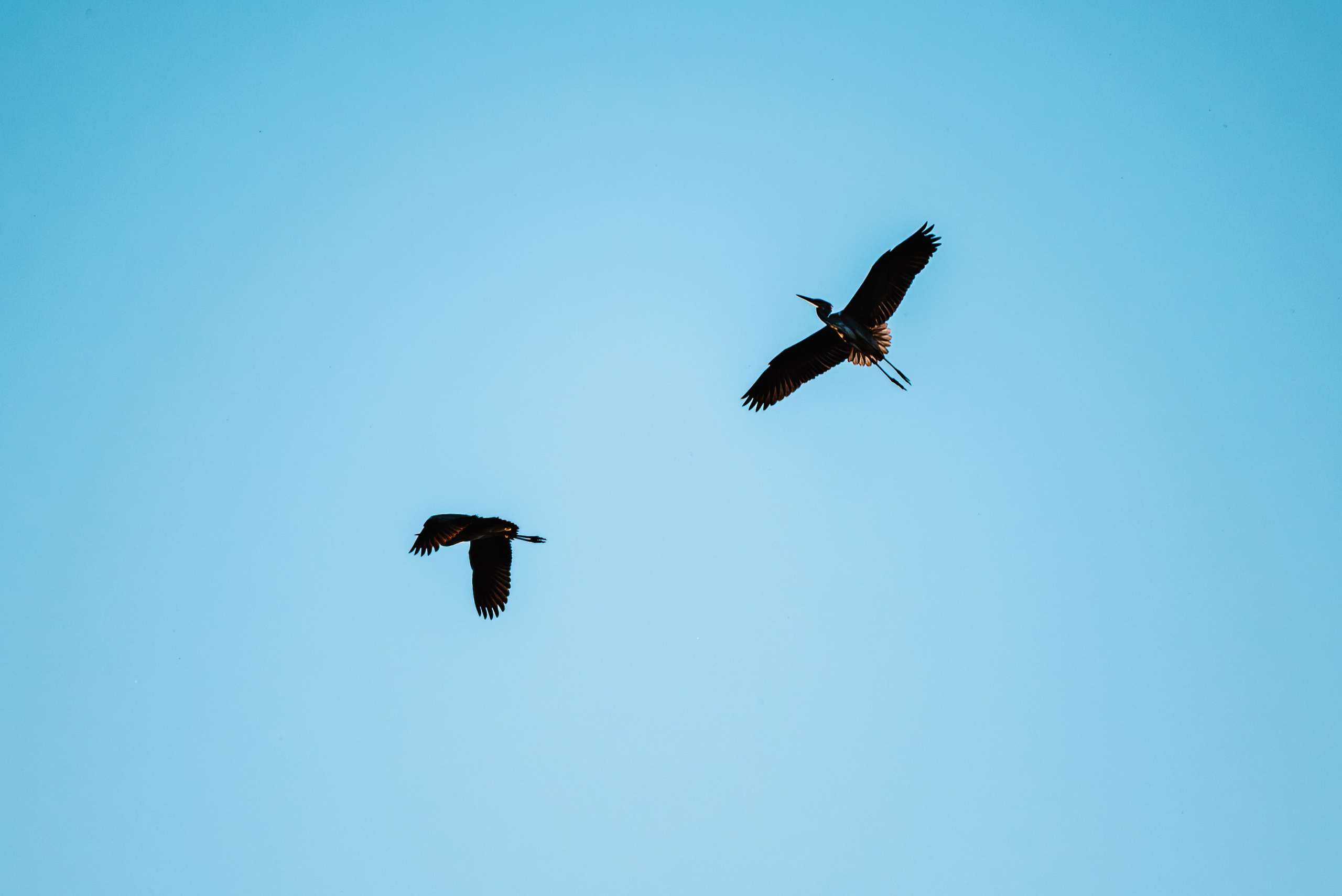Лето. Фотограф в Ветлуге Сергей Белов (VETLUGA B.S.)