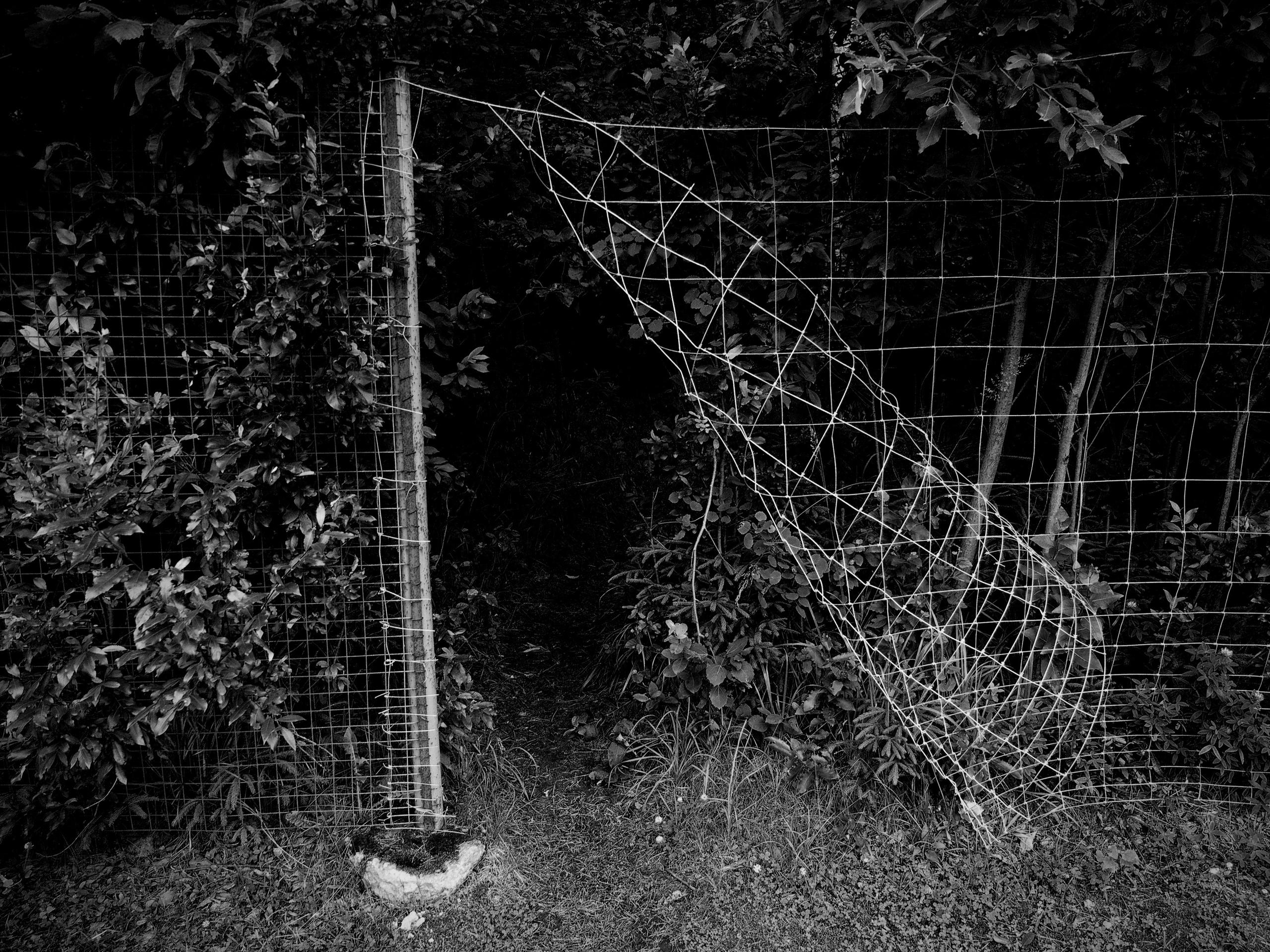 Bardo. Роман Ходырев — художник, фотограф, музыкант, эзотериолог. Санкт-Петербург, Рига