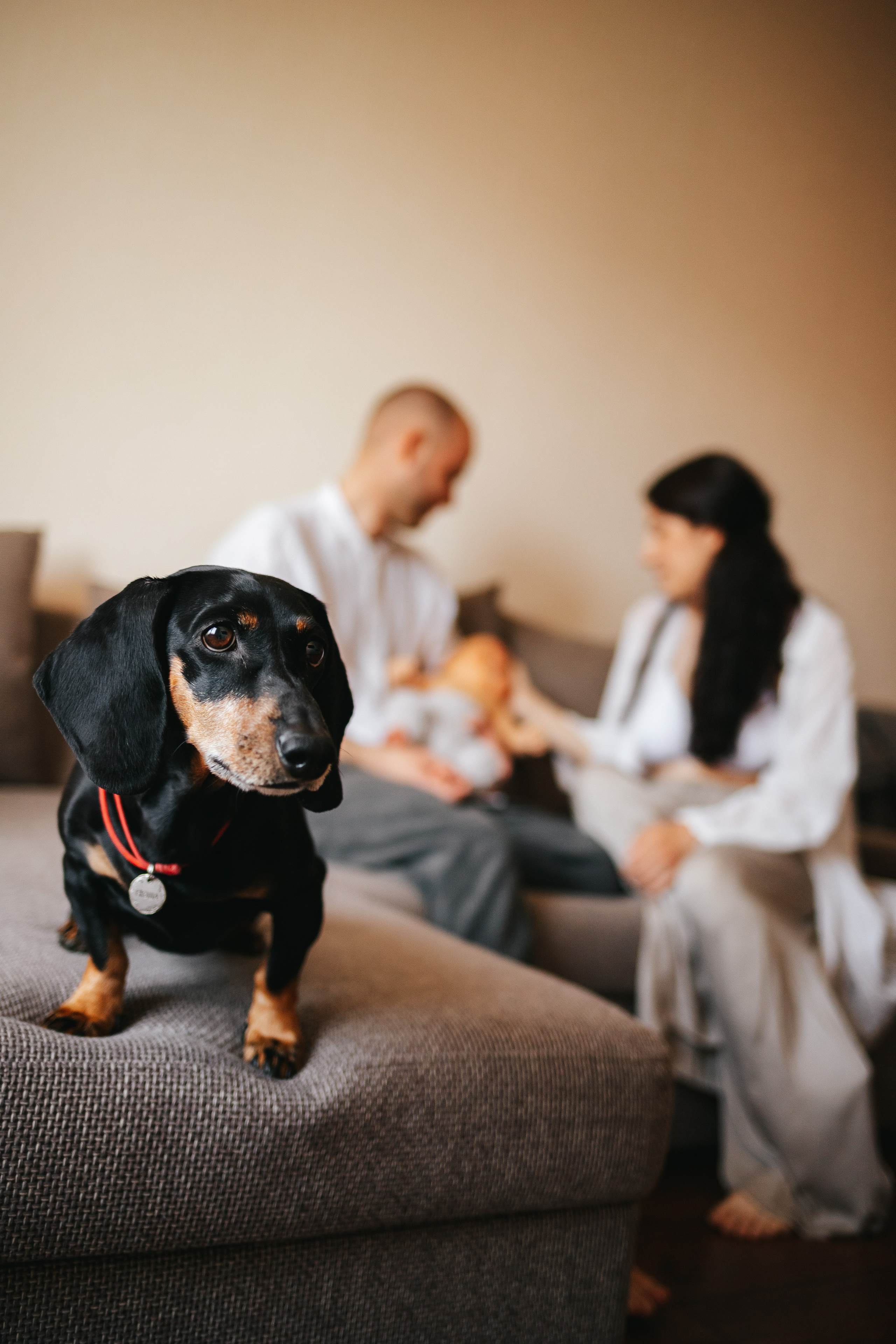 Илья, Катя и Лев. Семейный lifestyle фотограф в Санкт-Петербурге Людмила Пахомова