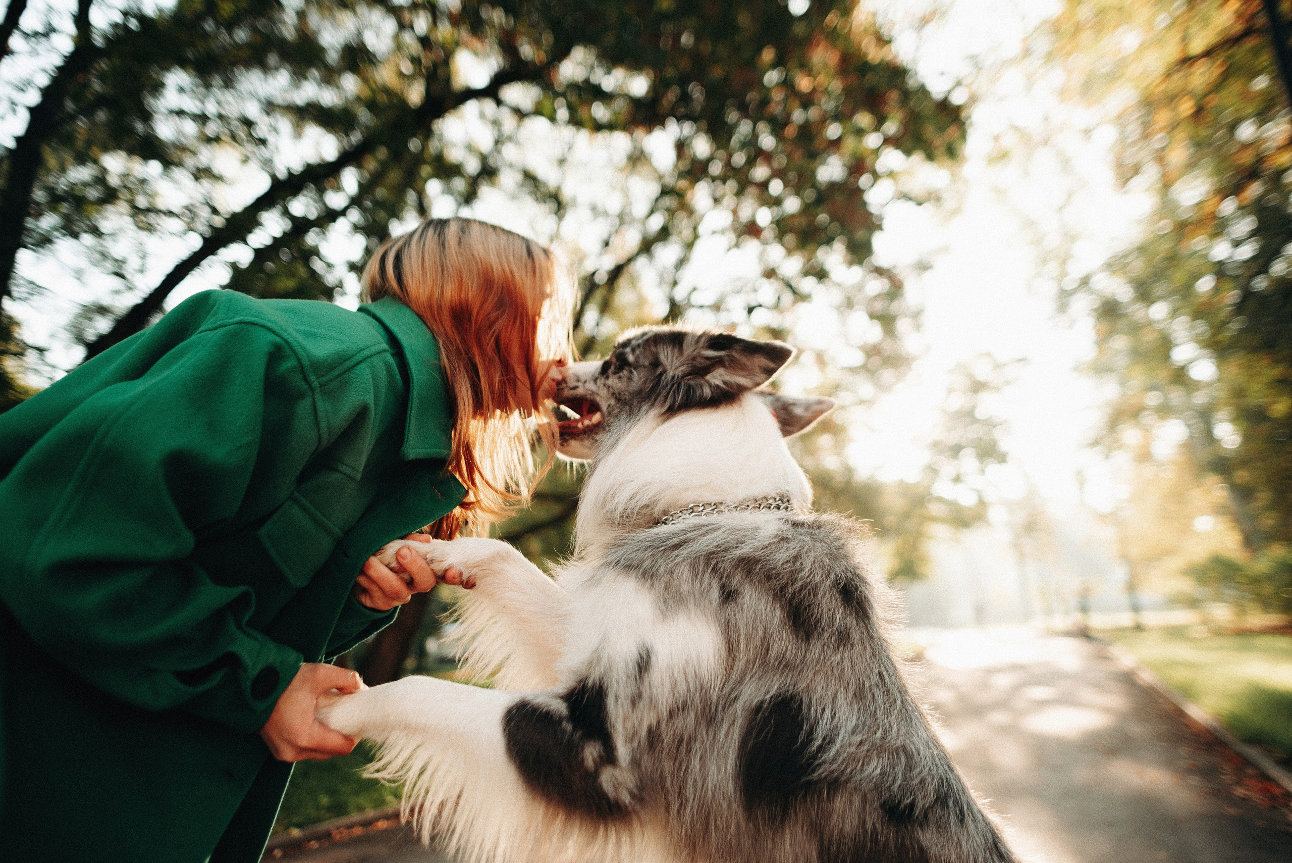Диана и Робин. Фотограф-анималист Богданова Полина