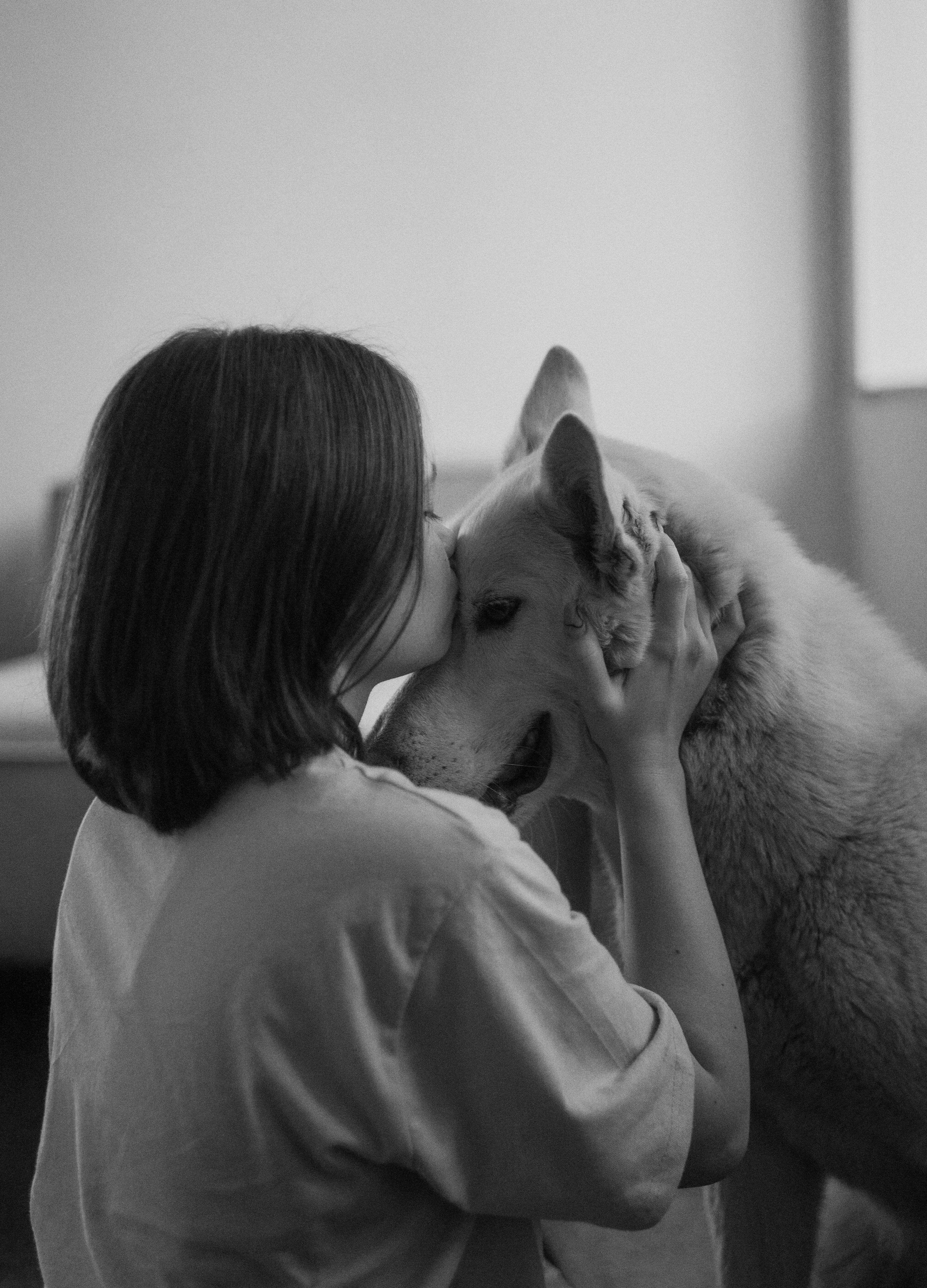 Аня, Дэймон и Грэй. Фотограф-анималист Богданова Полина