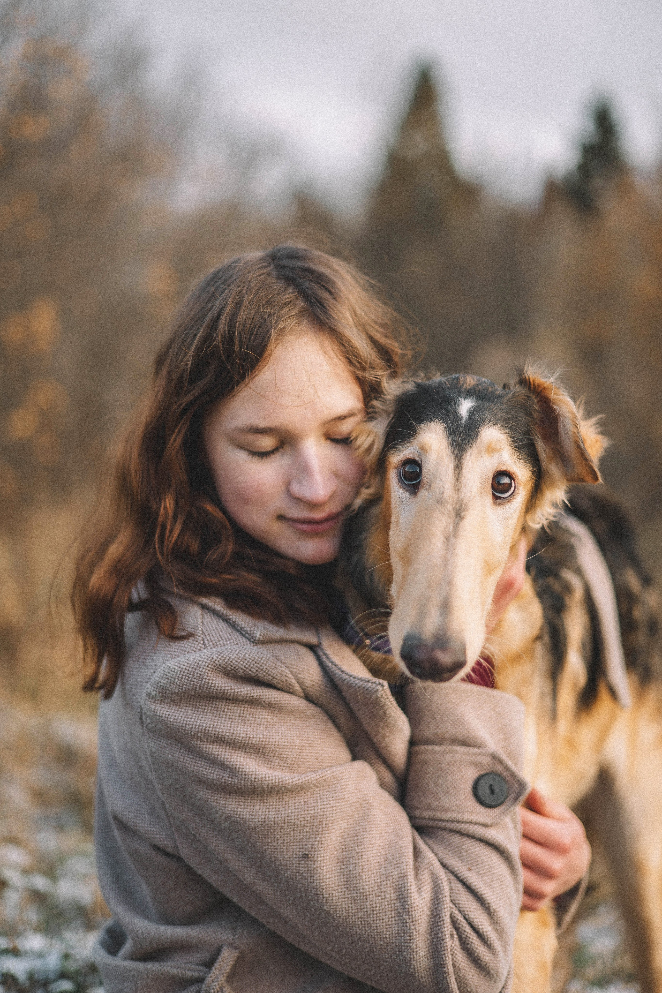 Алена, Леви и Микаса. Фотограф-анималист Богданова Полина