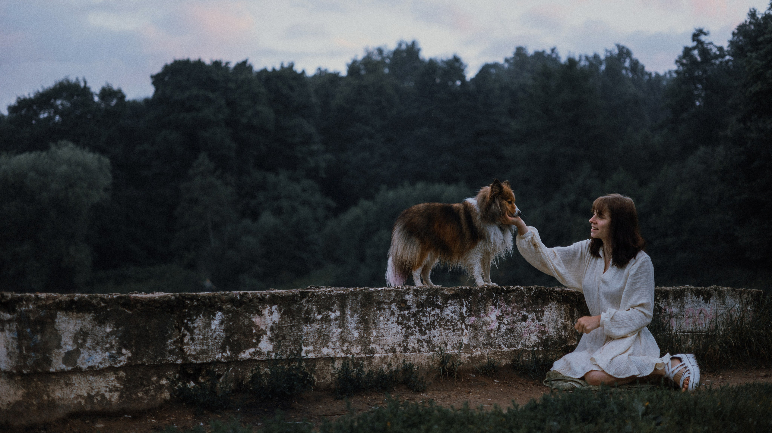 Аня и Скай. Фотограф-анималист Богданова Полина