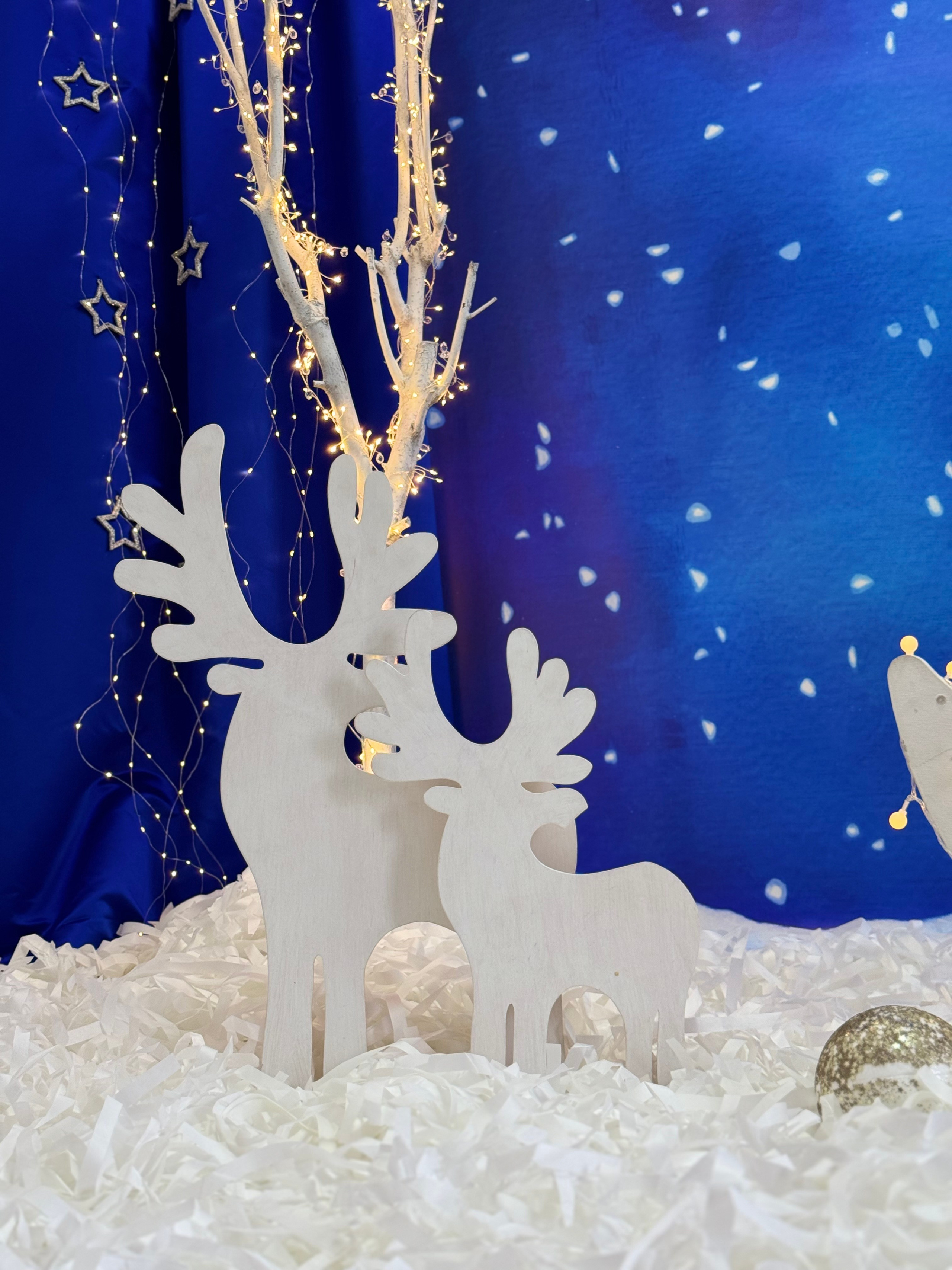 Зимняя сказка фото зона. Фотостудия