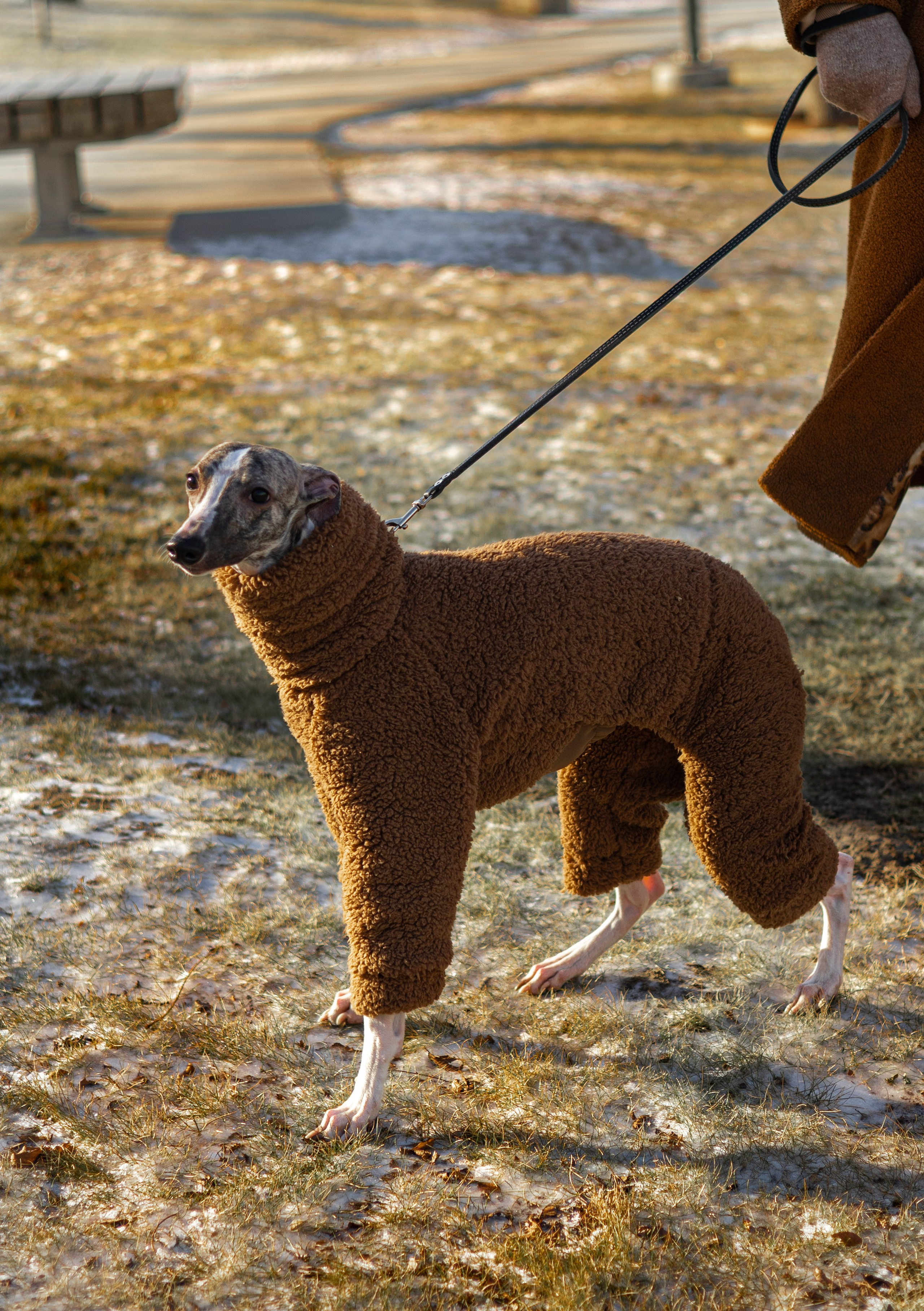 Алёна и Дос. Фотограф — анималист Владивосток, Алина