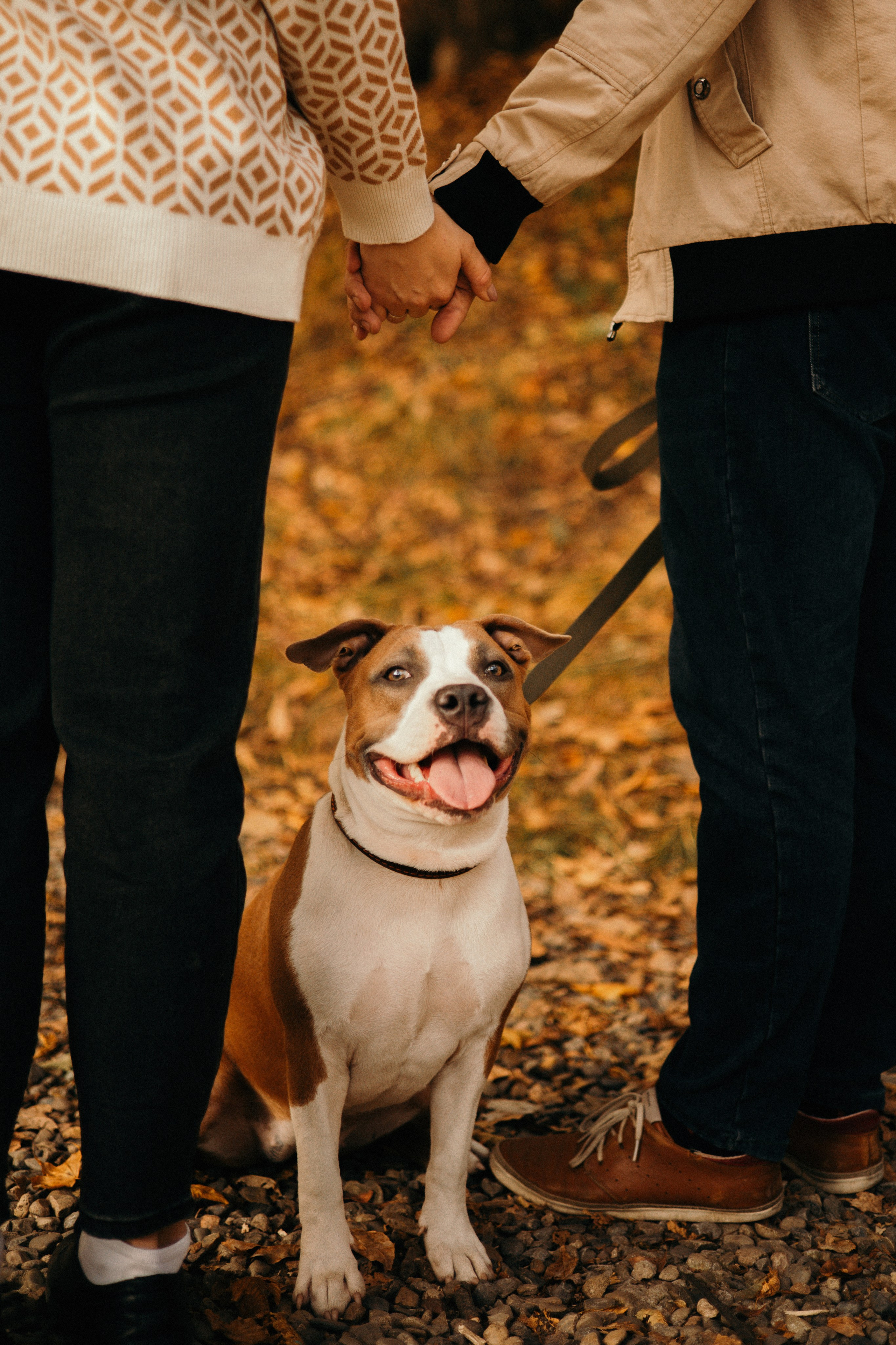 Лаффи и ее семья. Фотограф — анималист Владивосток, Алина