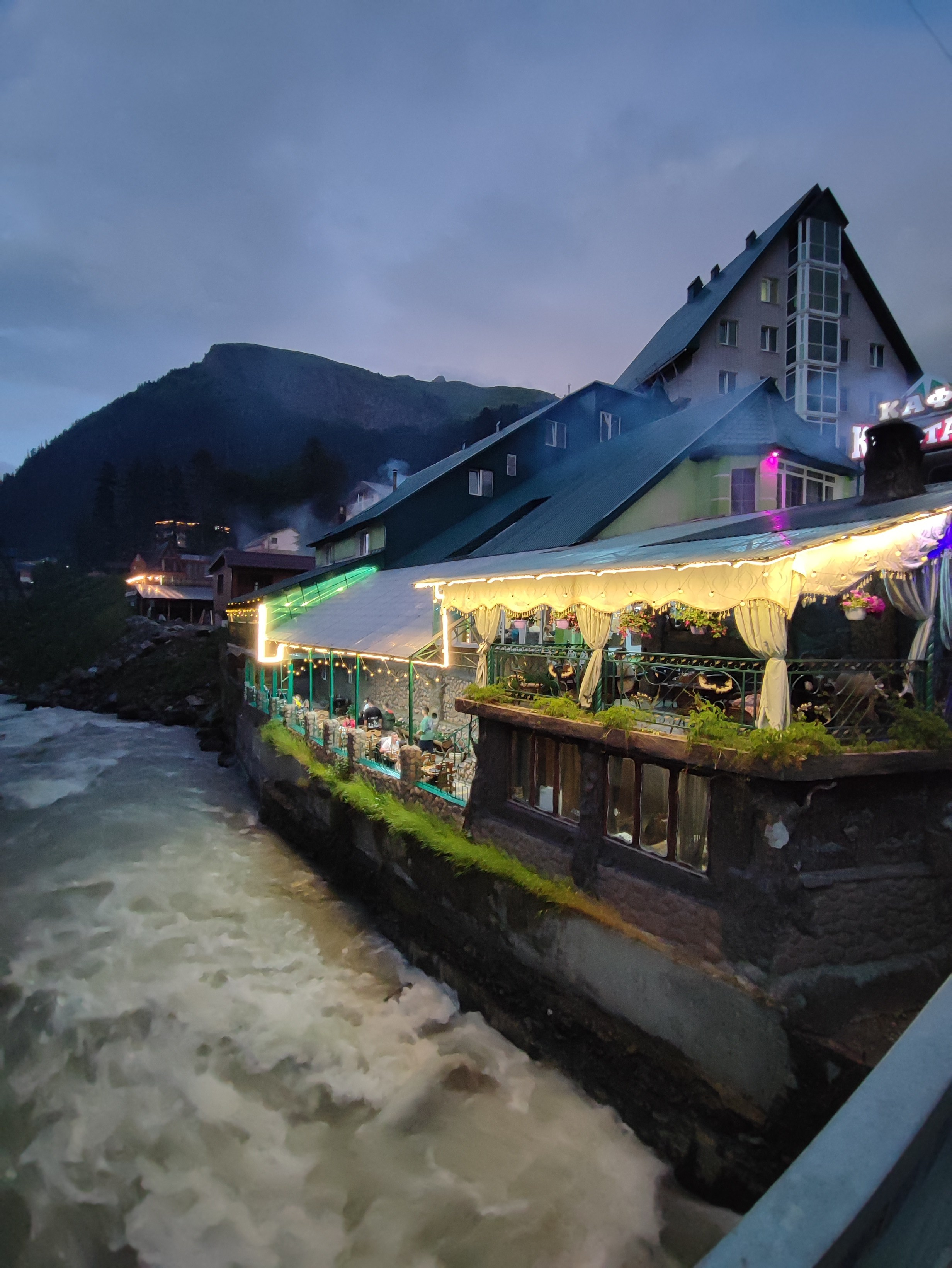 Намобилкус кавказский. Репортажный фотограф Алексей Пирязев