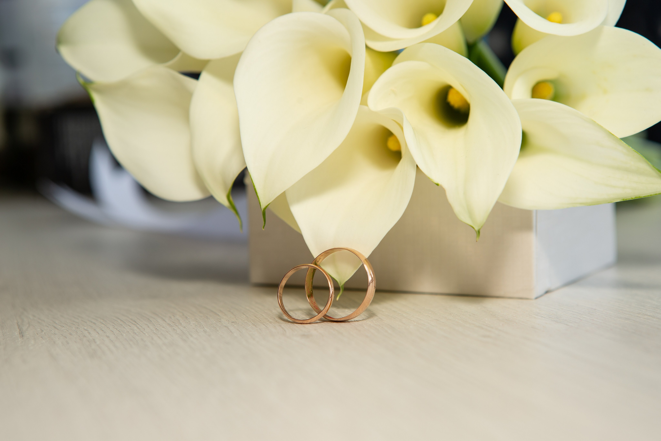 Прайс. Свадебный фотограф в Новороссийске Илья Сараф