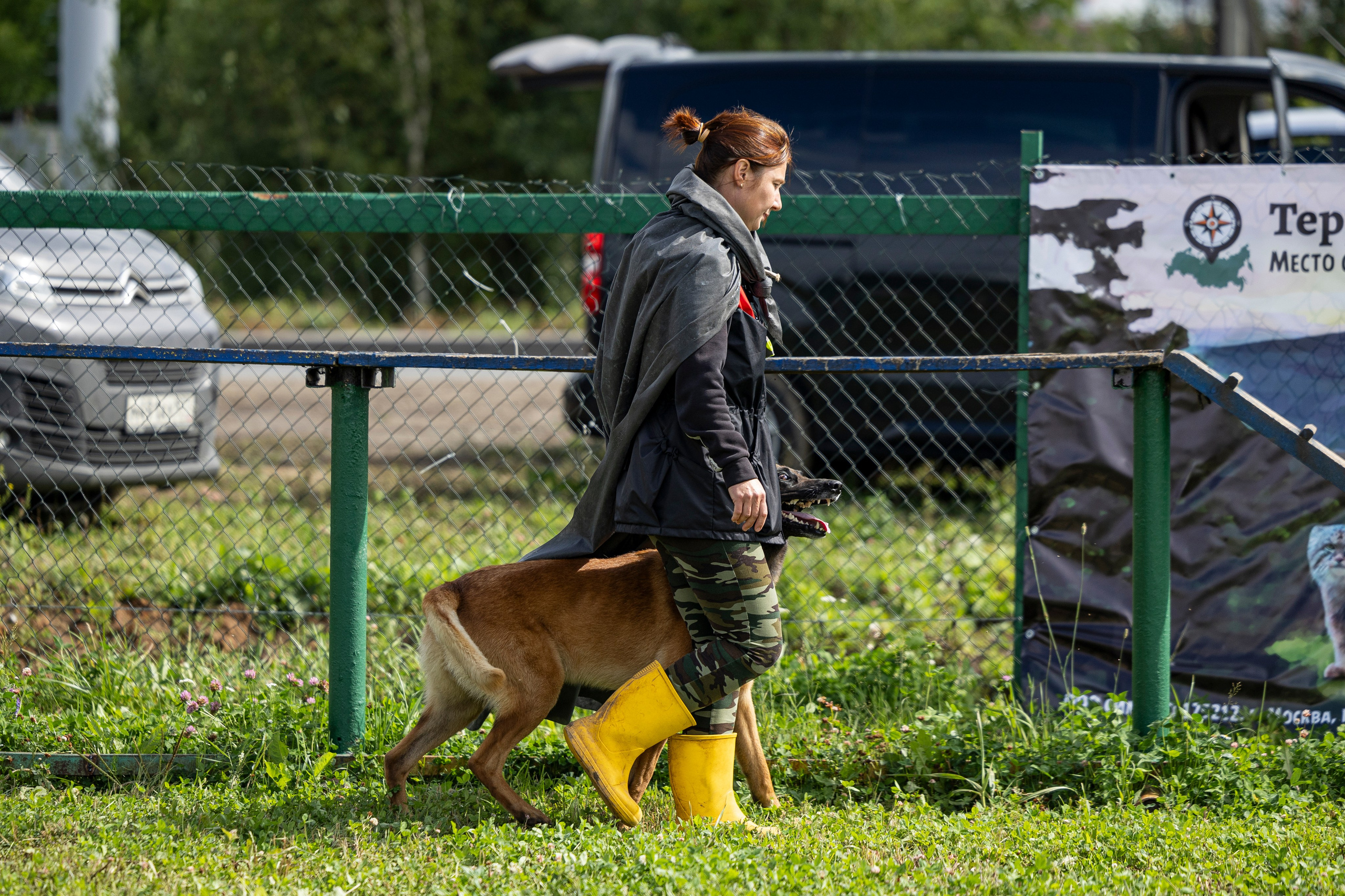 Соревнования по Мондьорингу г. Вологда 10-11.08.2024. Фотограф-анималист Анна Маринич