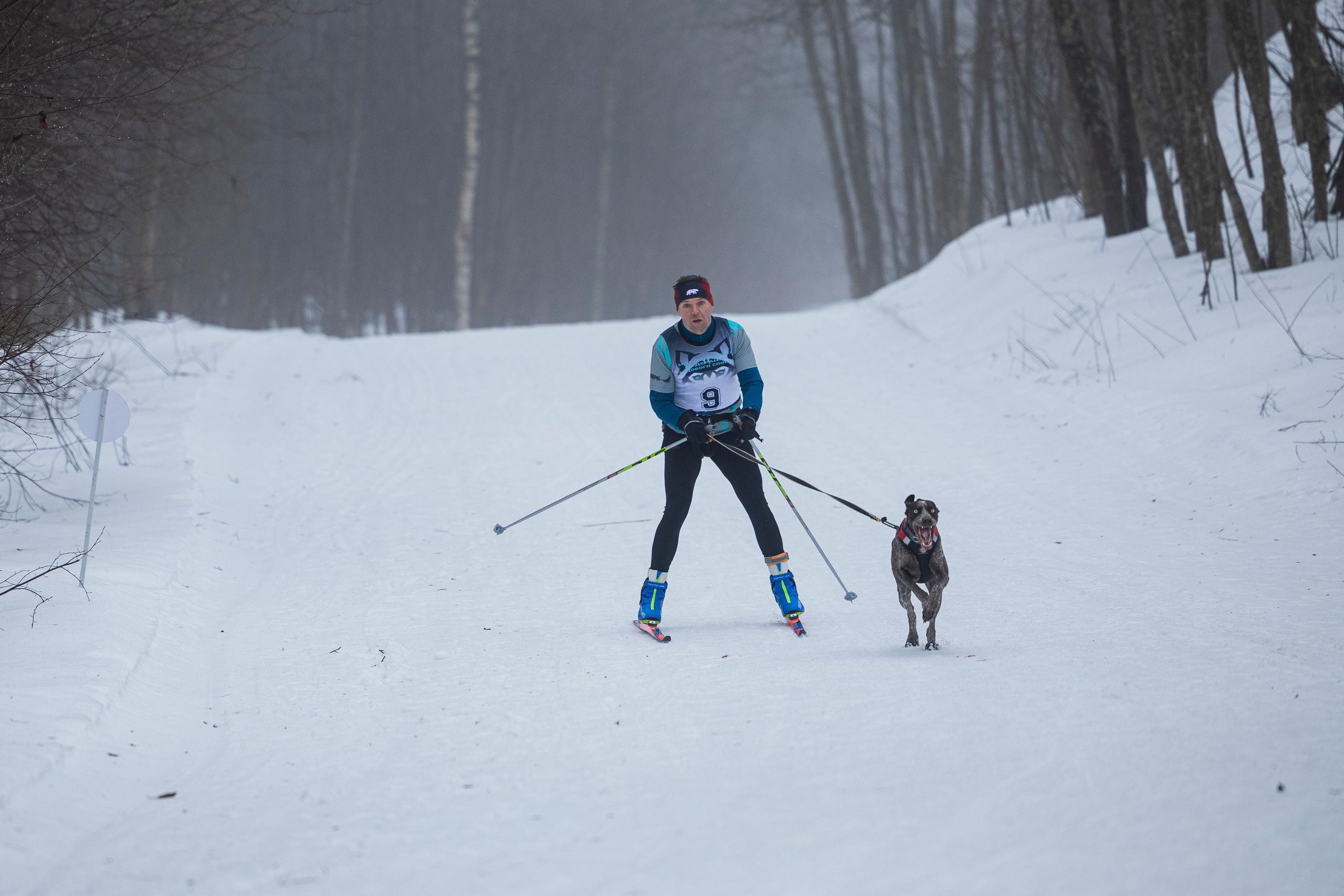 Зимний Чемпионат Санкт-Петербурга по ездовому спорту. Фотограф-анималист Анна Маринич