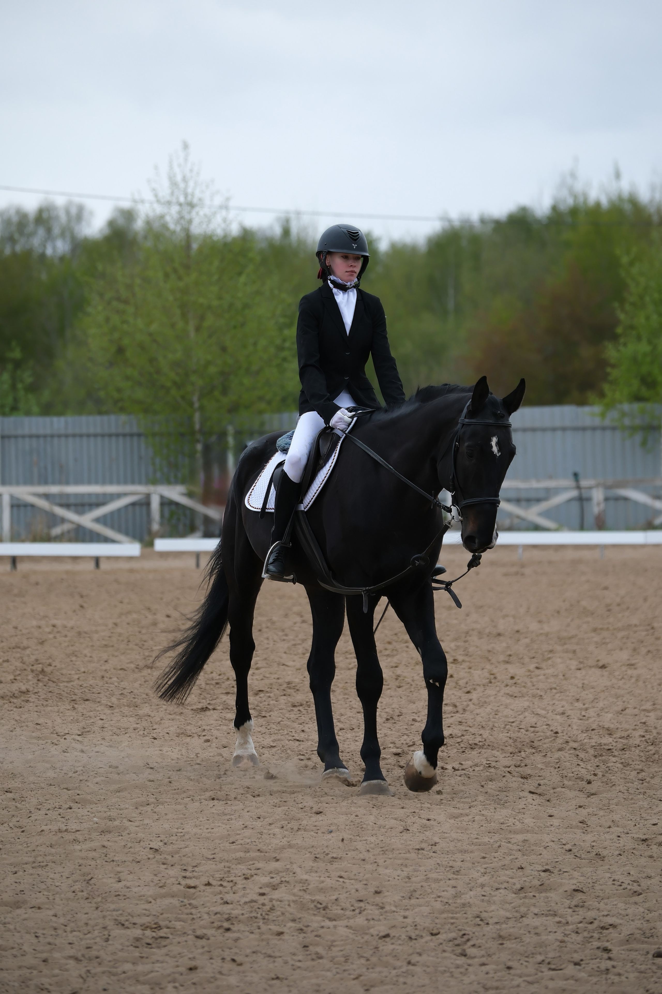 Соревнования по конному спорту в КСК «АЛЛЮР»!. Добро пожаловать в студию «Цифровой скульптор»  где искусство встречается с технологиями!