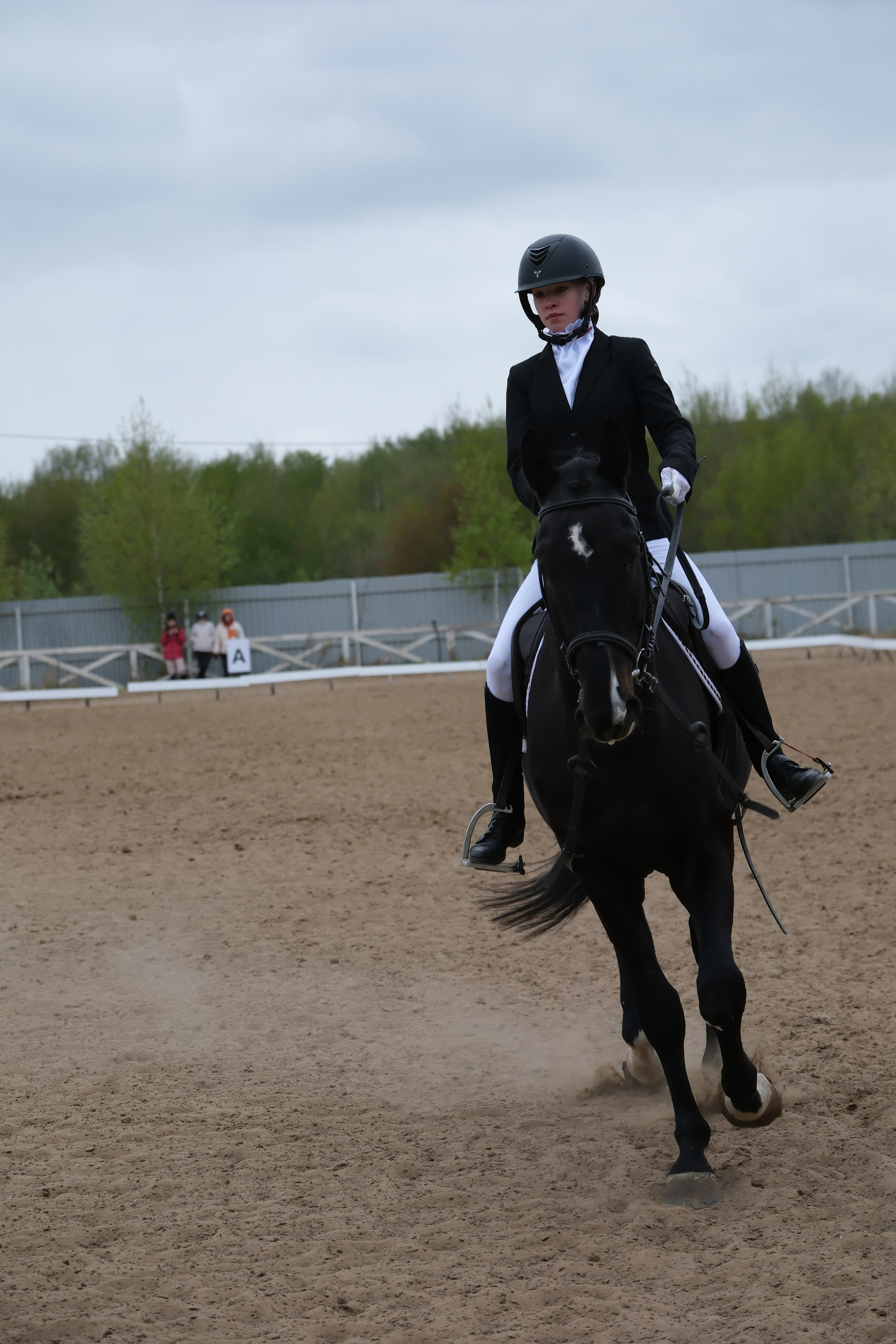 Соревнования по конному спорту в КСК «АЛЛЮР»!. Добро пожаловать в студию «Цифровой скульптор»  где искусство встречается с технологиями!