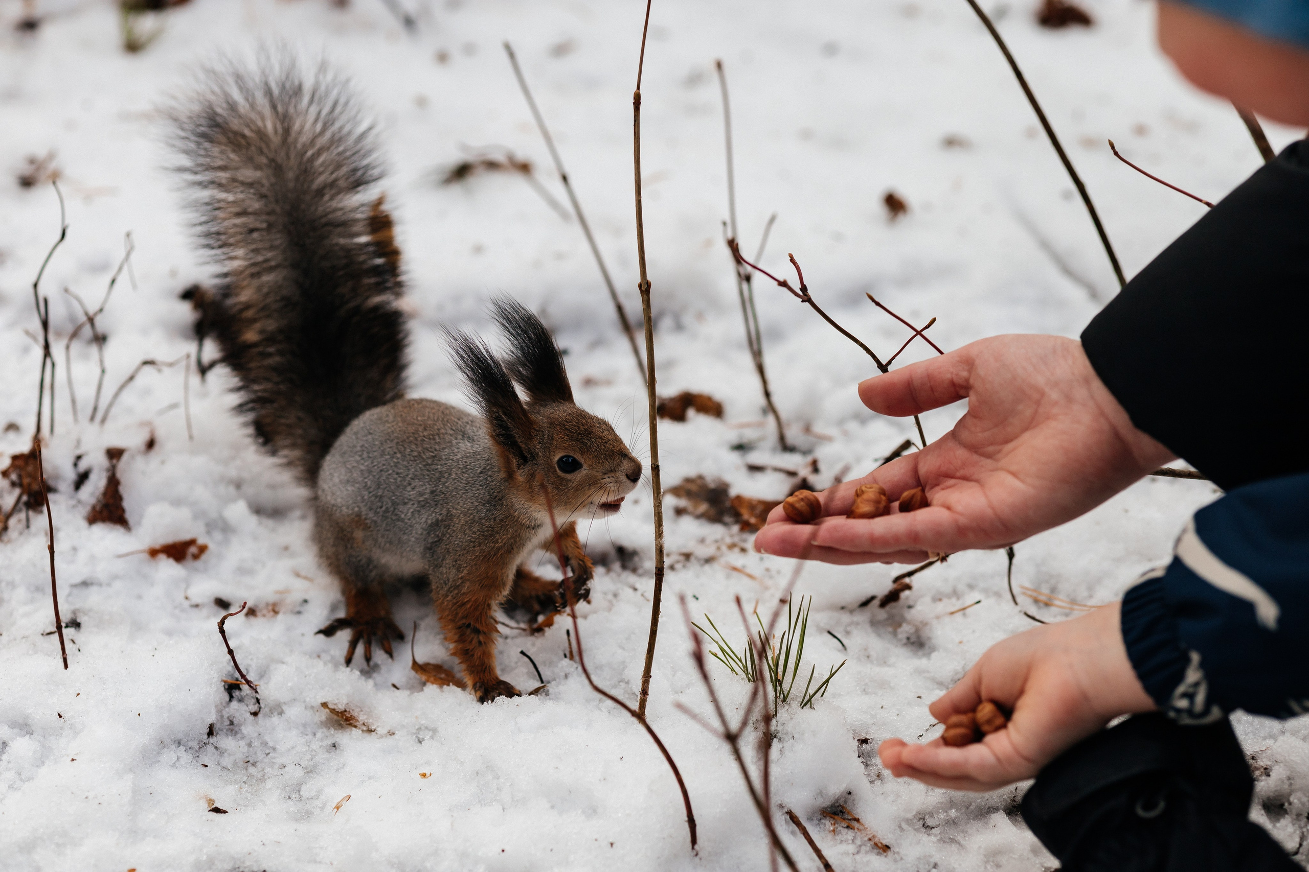 Семья Военмастер. Семейный фотограф Нижневартовск Тюмень Ефимова Ирина