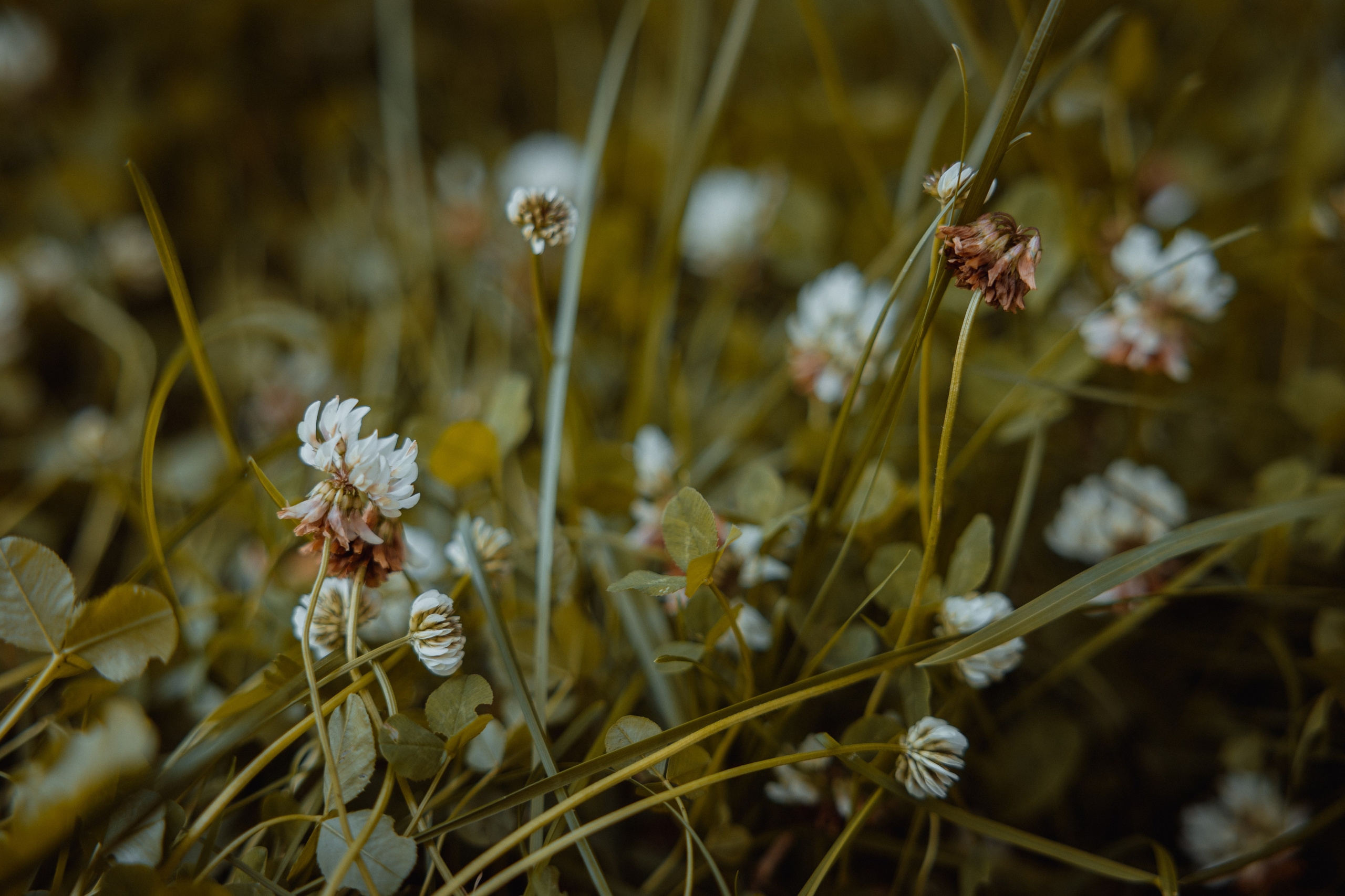 Пикник в парке. Андрей, Катя и Платон. Ваш семейный newborn и lifestyle фотограф в СПБ Наталья Журавлева