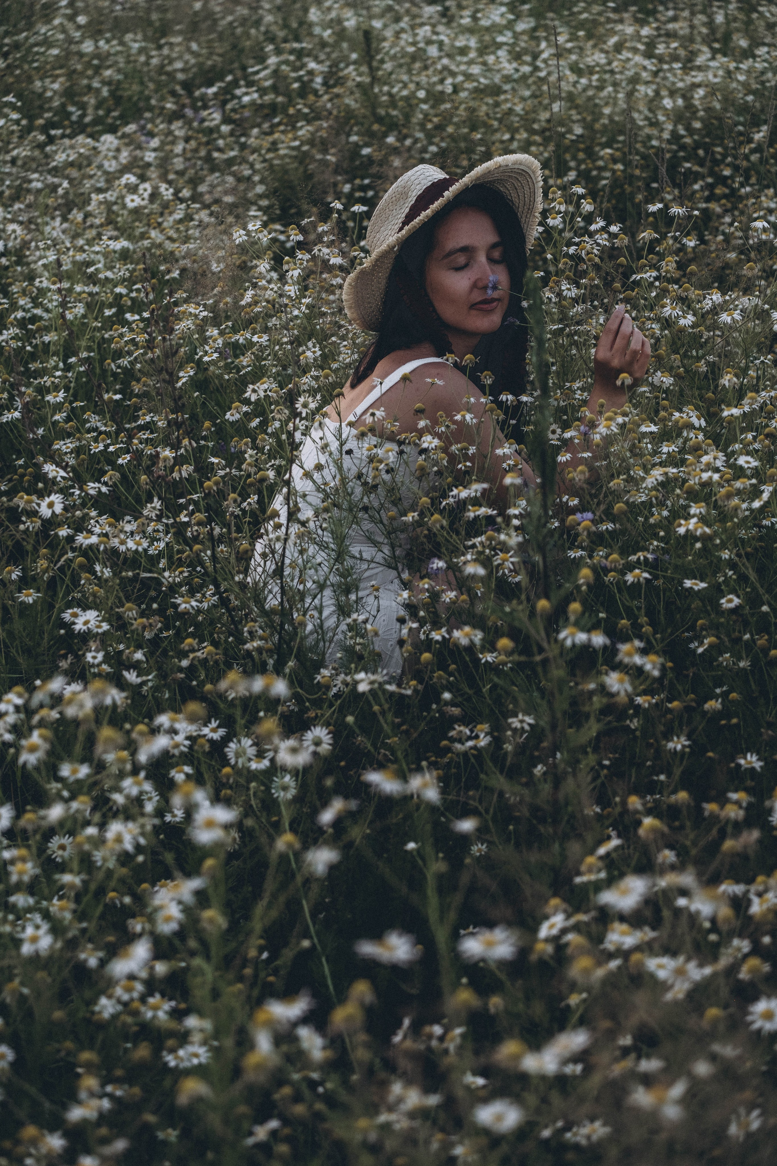Ромашковое поле. Профессиональный фотограф, Санкт-Петербург — Виктория Богомолова