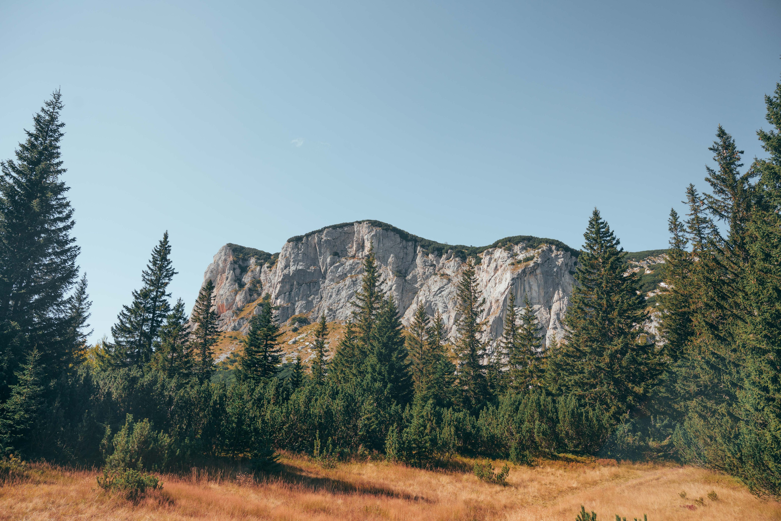 ЦРВЕНА ГРЕДА. ЧЕРНОГОРИЯ. Фотограф в Белграде Чугреева Елена