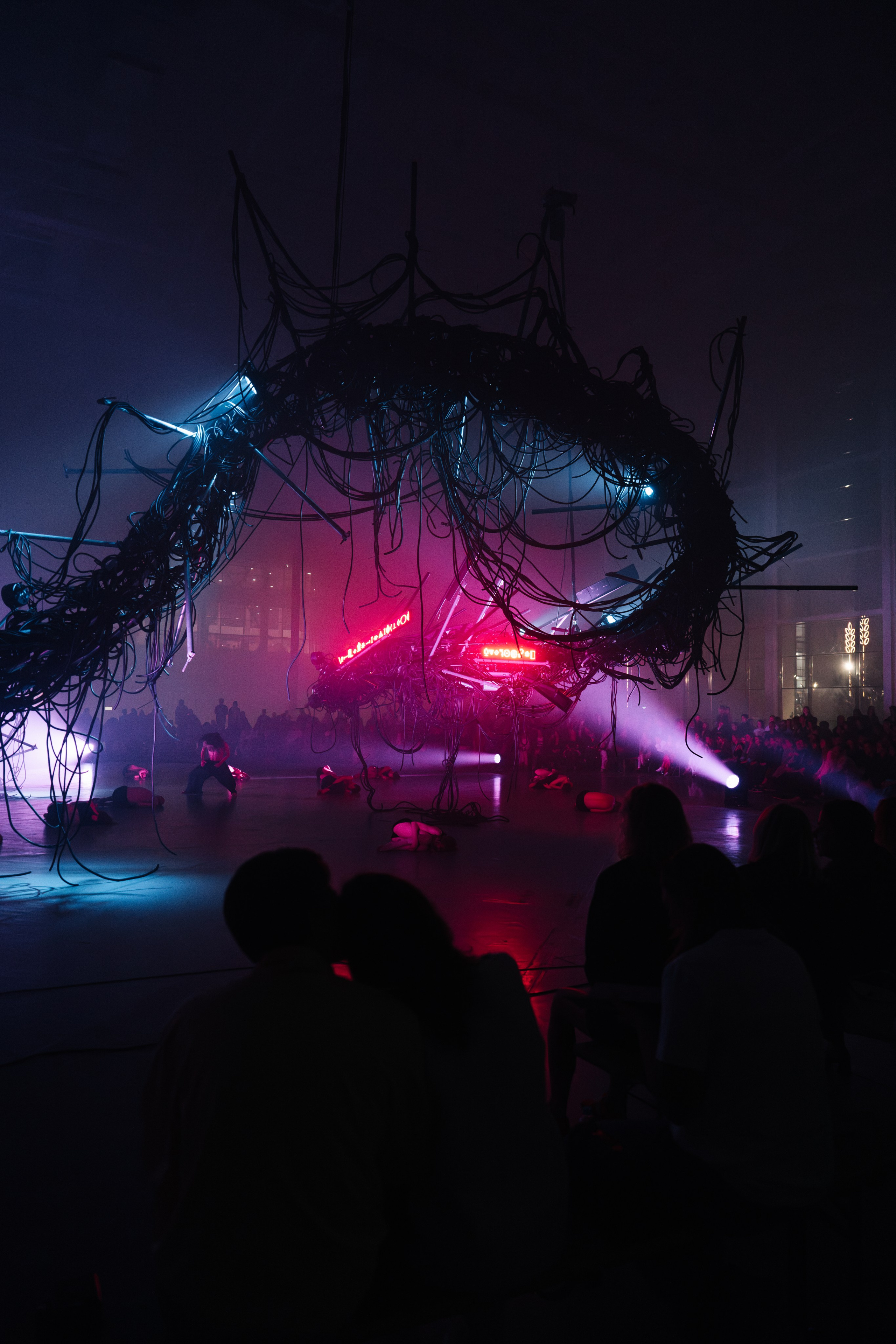 PERFORMA, The Hour of the Horse. @tomrus: Рустам Шагиморданов — фотограф