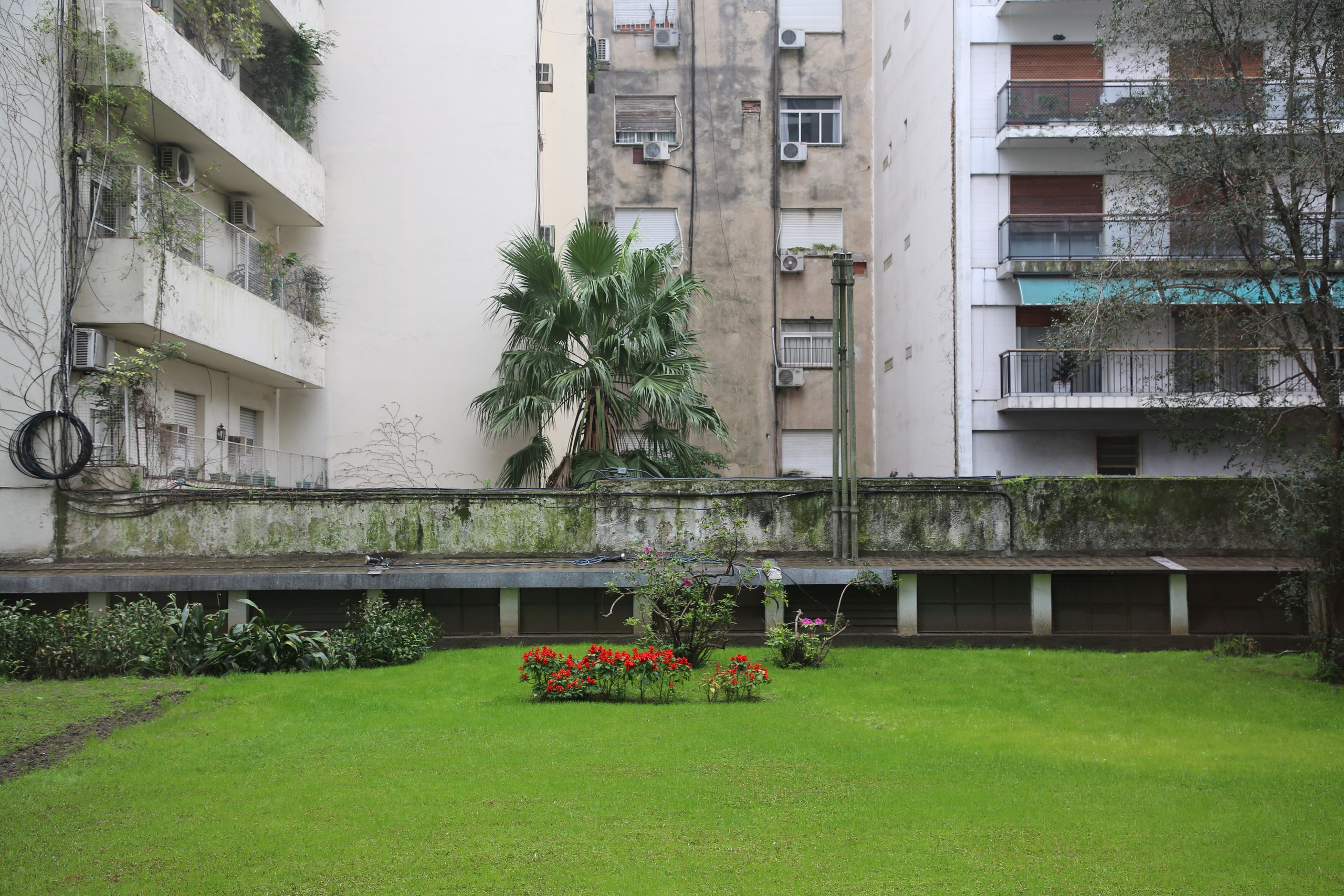 Buenos Aires, Argentina. Andrey Filippov Photographer