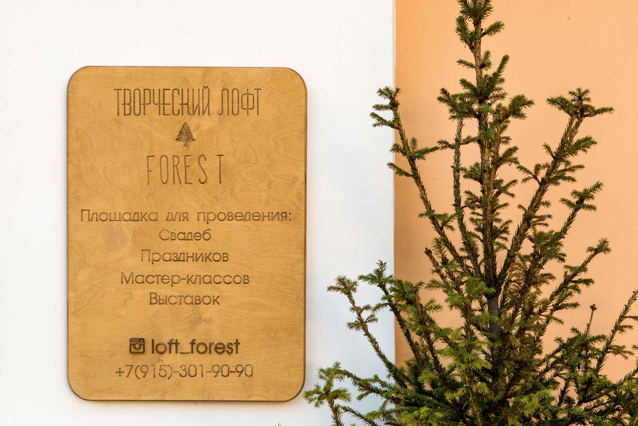 Саша+Таня. Свадебные фотосессии в Москве. Фотограф Сергей Ржевский