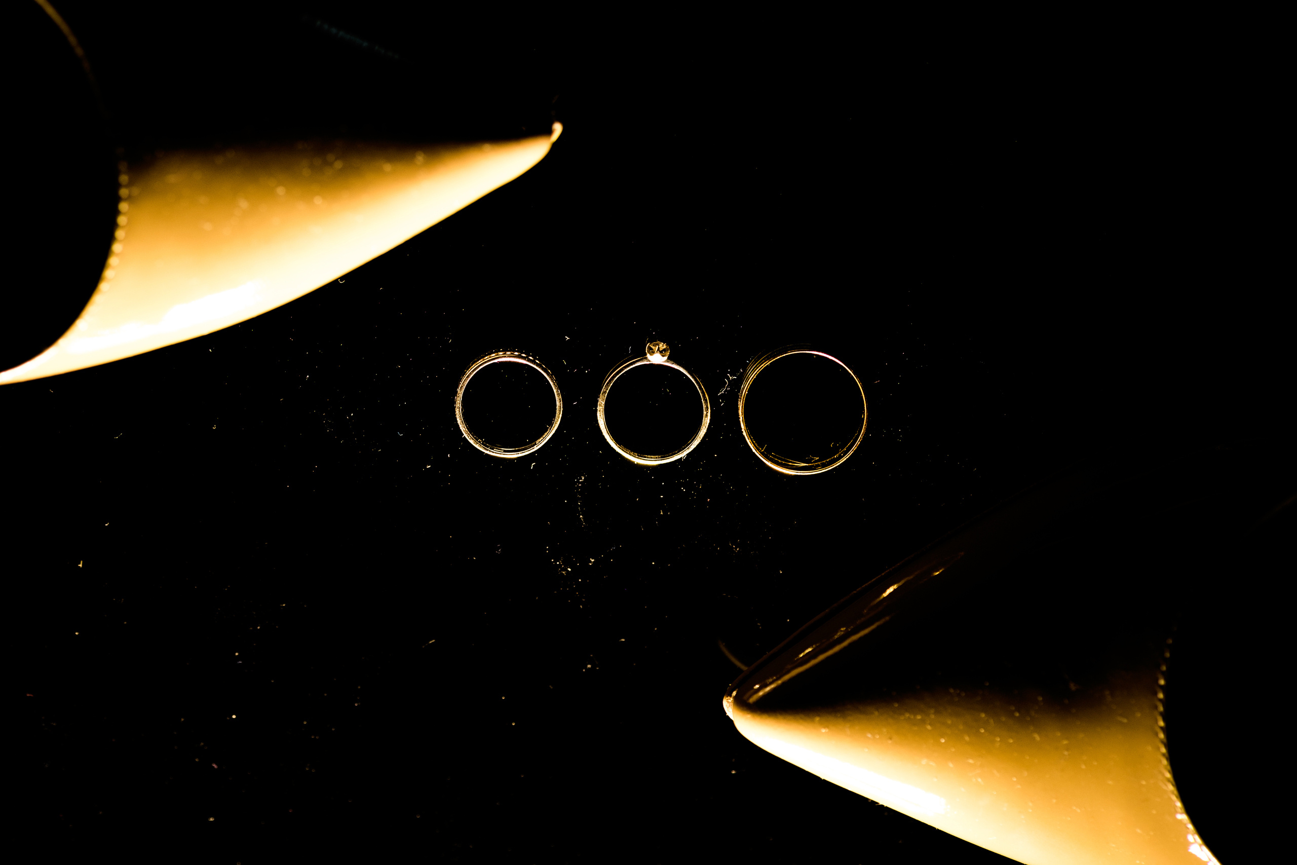 Саша+Таня. Свадебные фотосессии в Москве. Фотограф Сергей Ржевский