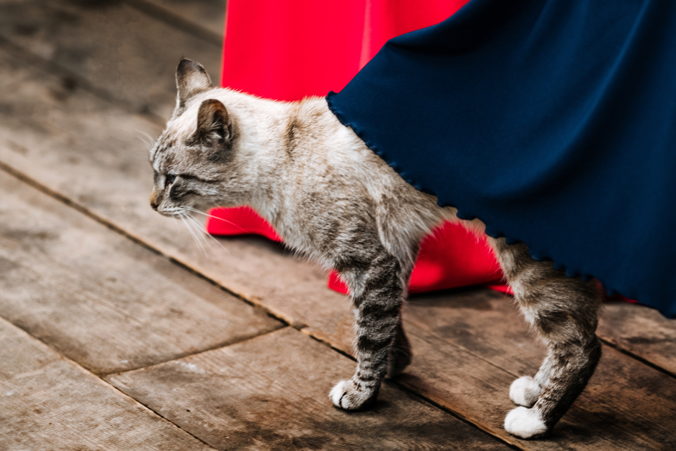 Саша+Таня. Свадебные фотосессии в Москве. Фотограф Сергей Ржевский