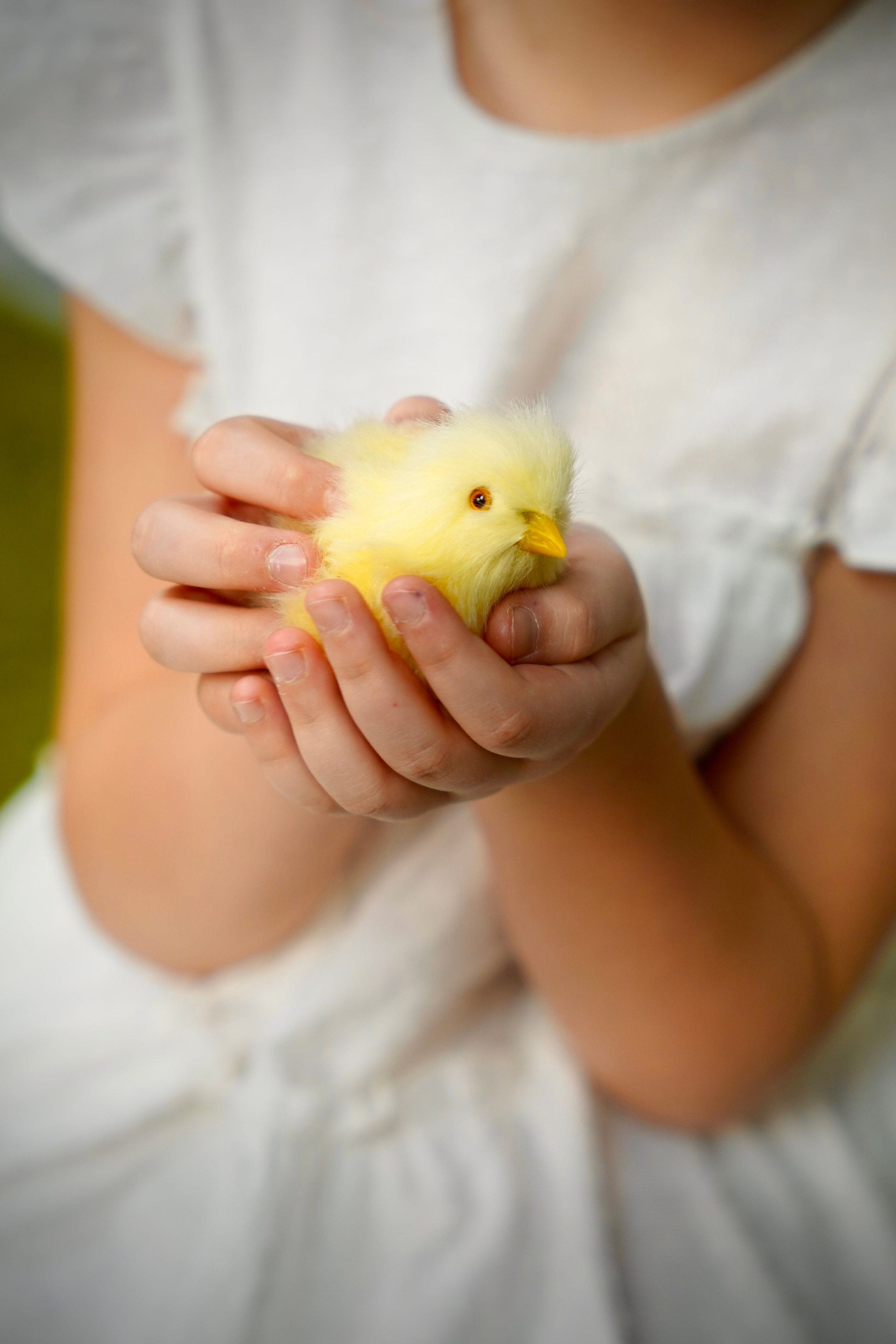 Весенний-Пасхальный 2025 № 1. Семейный и детский фотограф Александра Гвоздикова