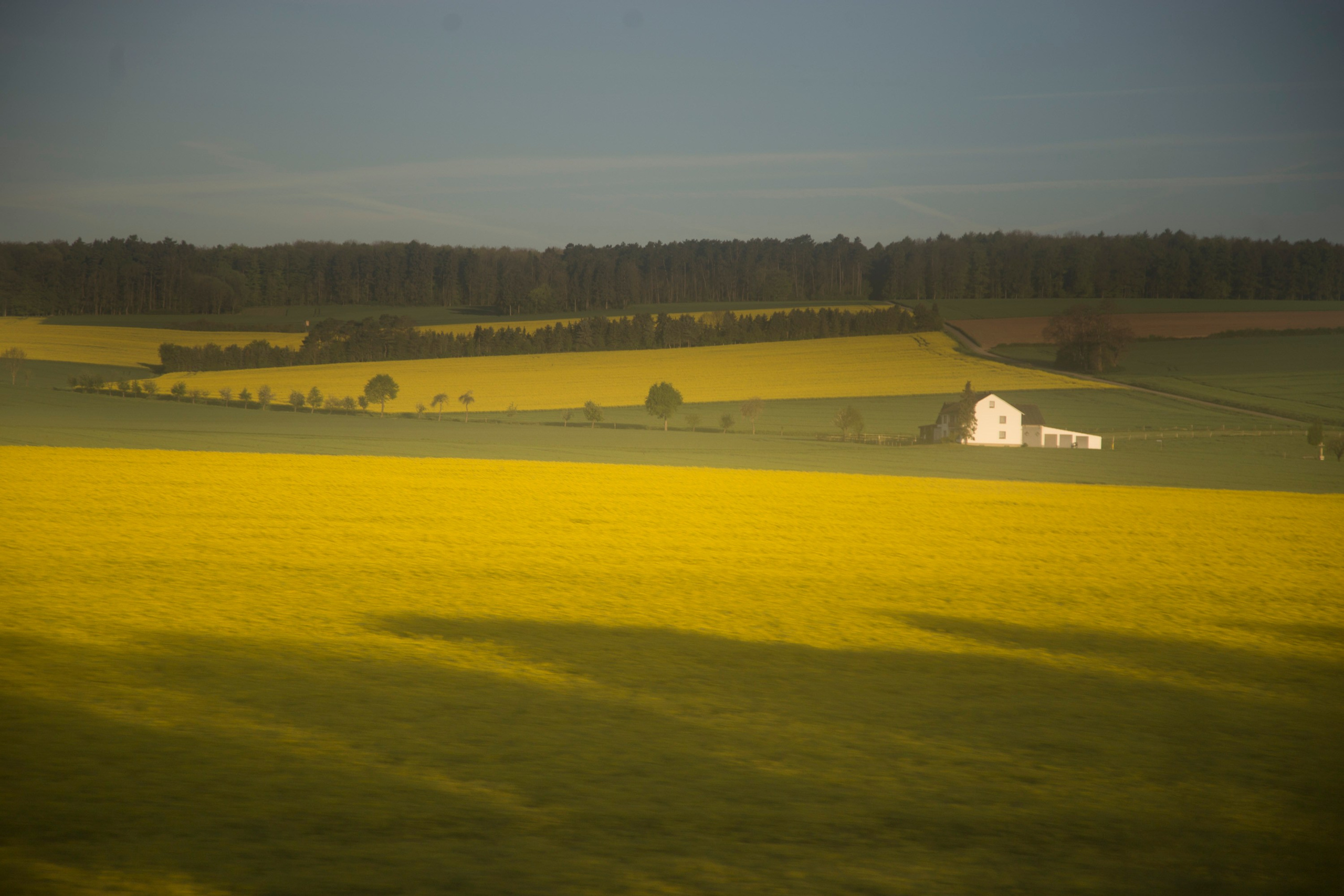 Фото. Фотограф Лагутин Анатолий