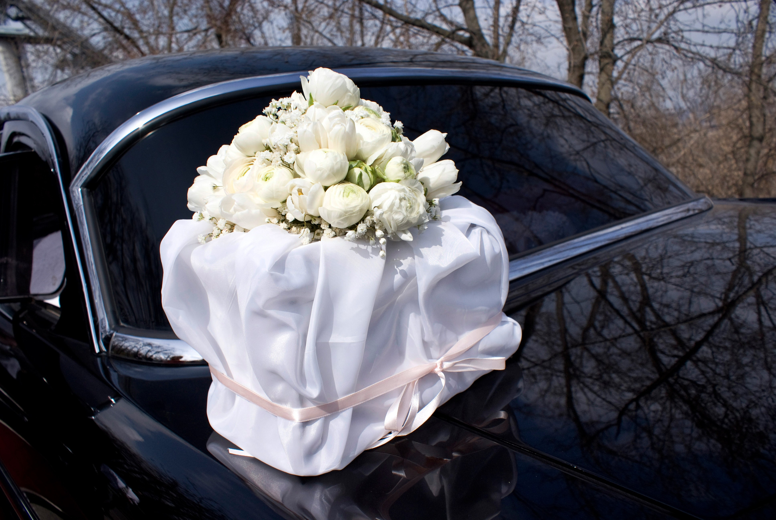 Паша и Даша. Фотограф Лагутин Анатолий