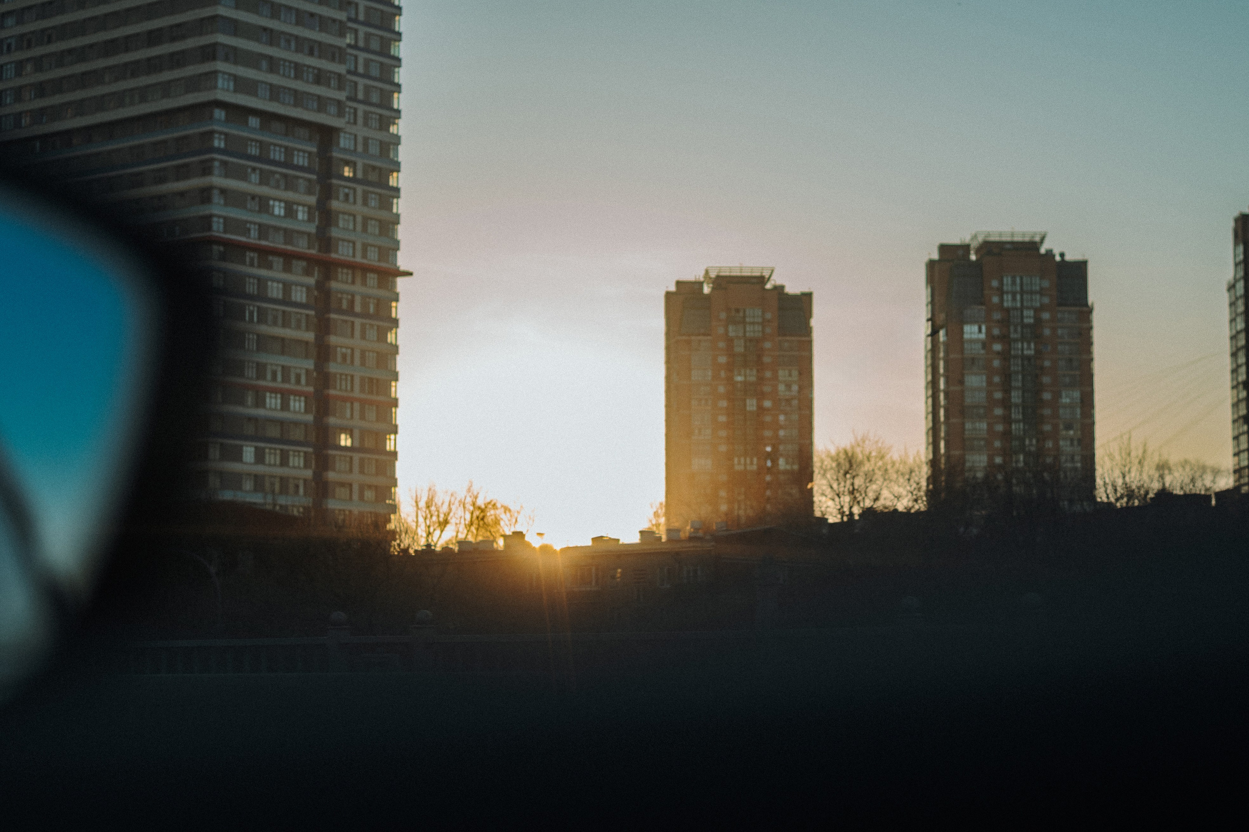 Mary & Busya’s first meeting. Natalia Finch Photography — Family, Kids & Pet Photographer in Chicago, IL