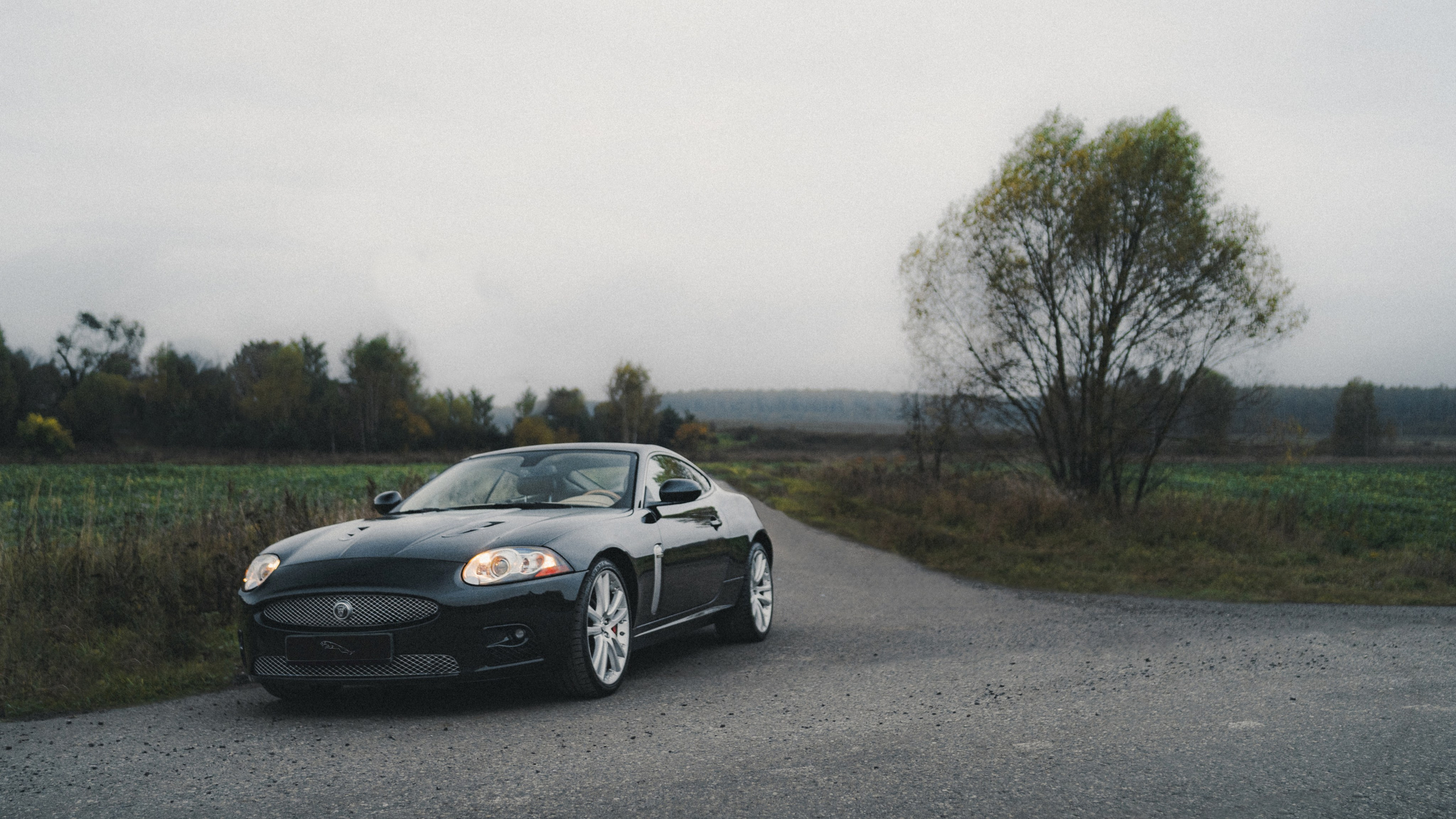 Jaguar XKR. Фотограф Илья К. в Москве